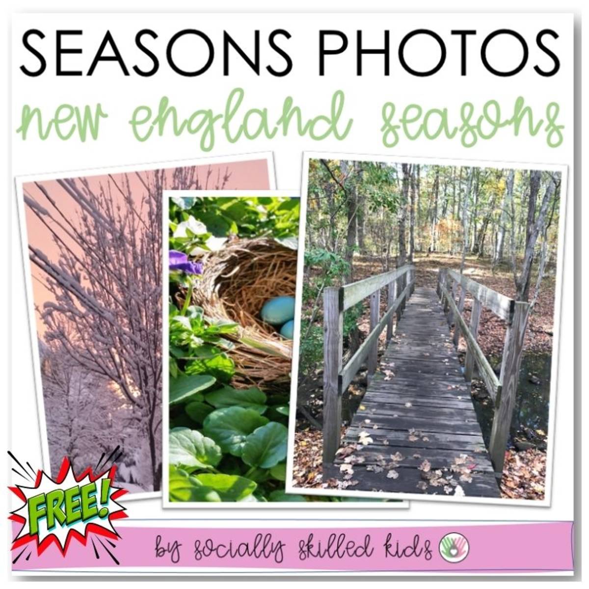 An educational teaching resource from Socially Skilled Kids entitled Seasons Photos downloadable at Teach Simple.