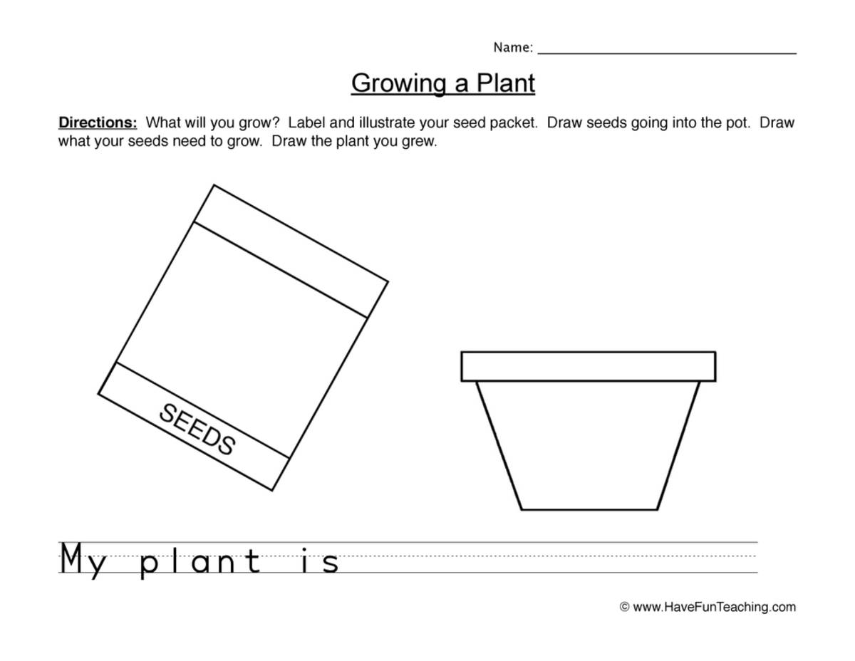 An educational teaching resource from Have Fun Teaching entitled Seeds Draw and Write Worksheet downloadable at Teach Simple.