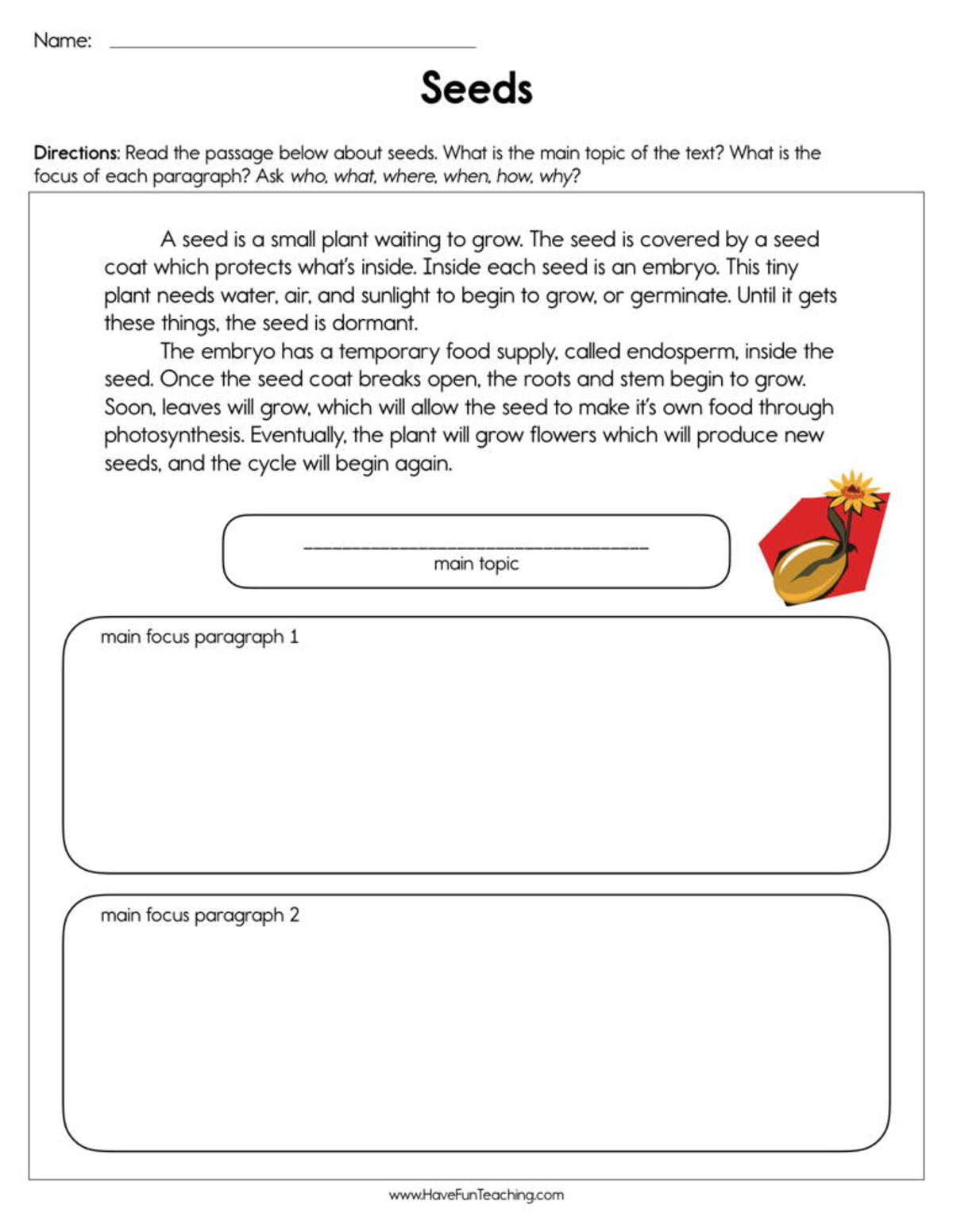 An educational teaching resource from Have Fun Teaching entitled Seeds Main Details Worksheet downloadable at Teach Simple.