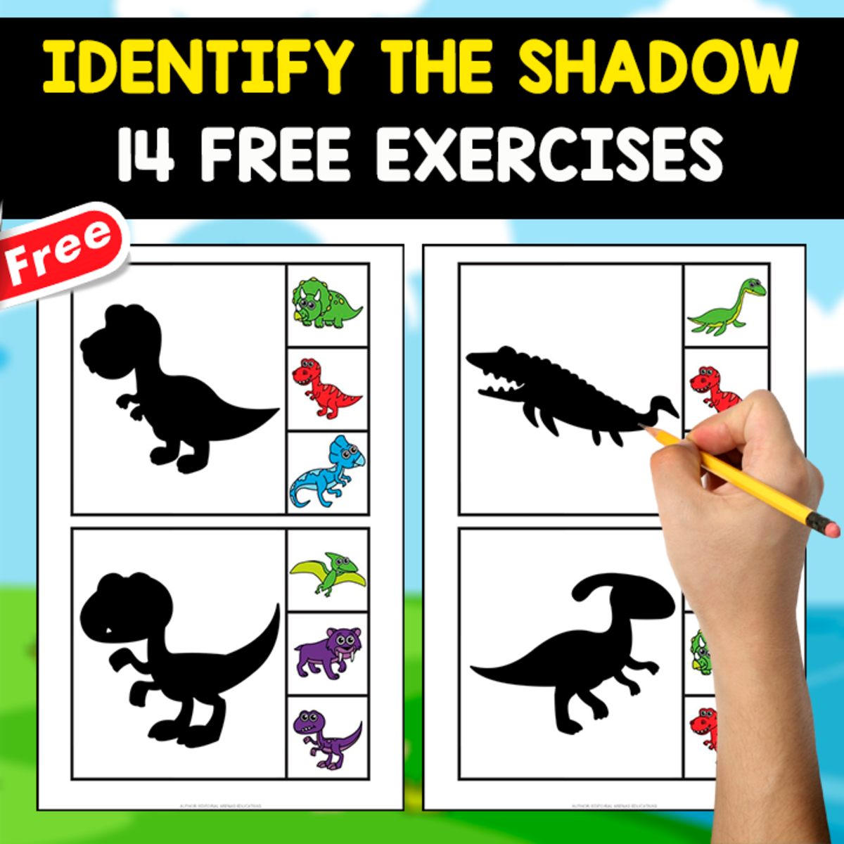 An educational teaching resource from EDITORIAL LAURA EDUCA entitled SELECT THE SHADOW | 14 FREE FLASHCARDS downloadable at Teach Simple.
