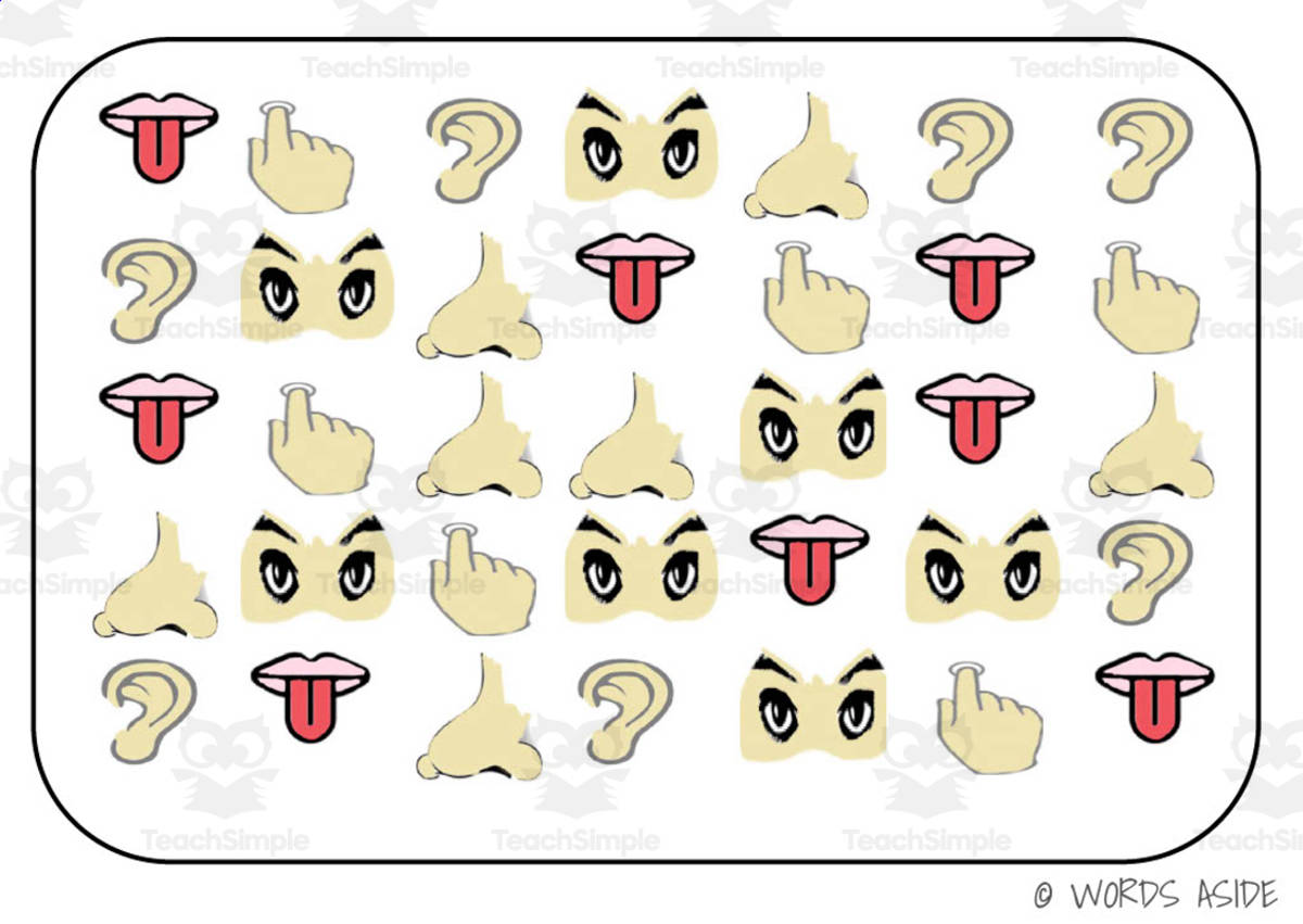 An educational teaching resource from WORDS ASIDE entitled Semantic Themed Activity Boards Set 38: FACIAL FEATURES downloadable at Teach Simple.