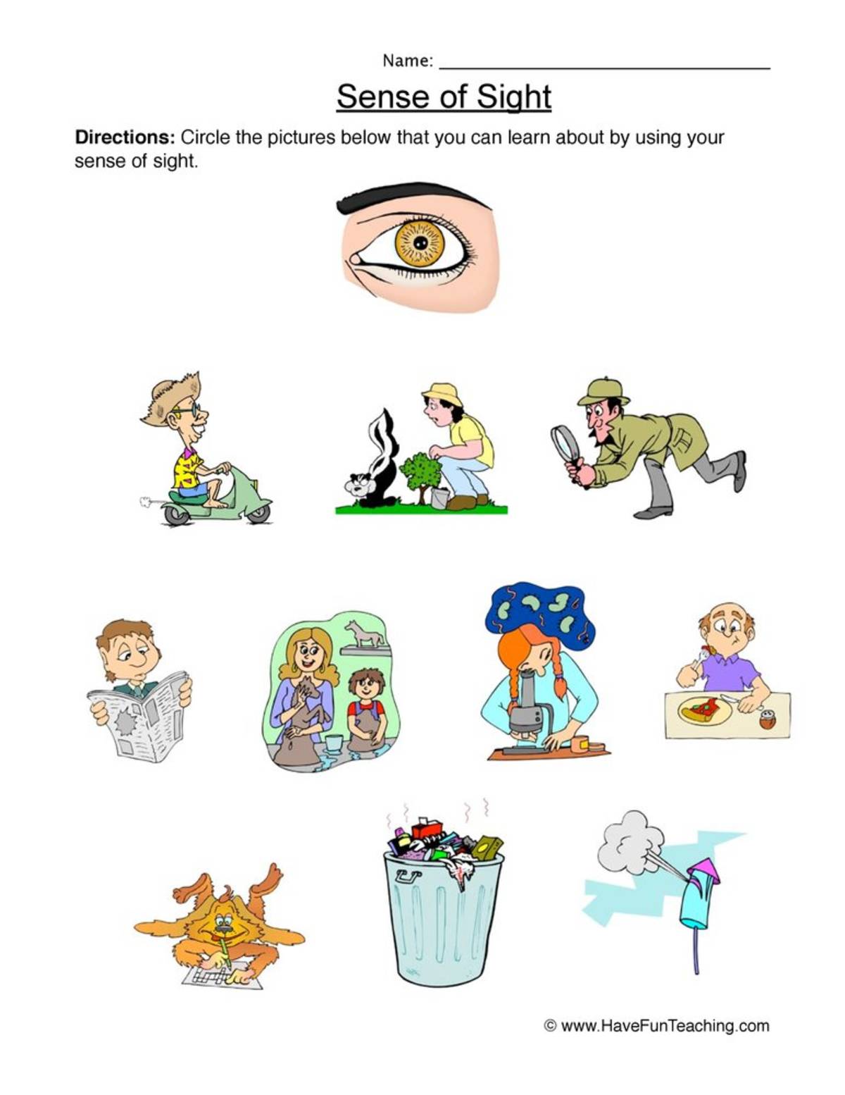 An educational teaching resource from Have Fun Teaching entitled Senses Sight Worksheet downloadable at Teach Simple.
