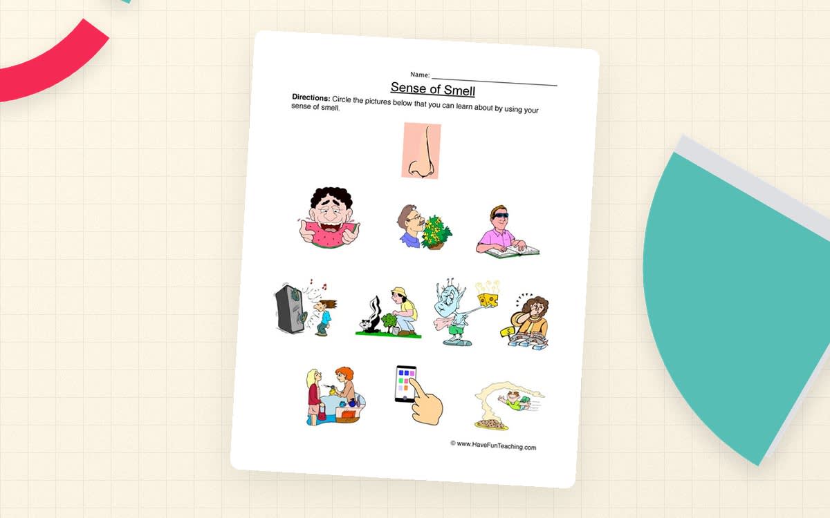 An educational teaching resource from Have Fun Teaching entitled Senses Smell Worksheet downloadable at Teach Simple.