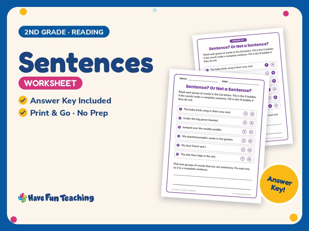 Sentences Worksheet – 2nd Grade Reading Practice + Answer Key preview