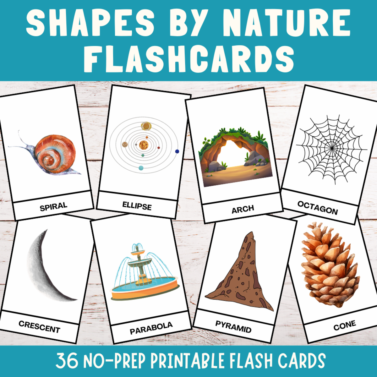 An educational teaching resource from Perfect_Printables entitled Shapes in nature flashcards, geometric shapes nature forms identifying downloadable at Teach Simple.