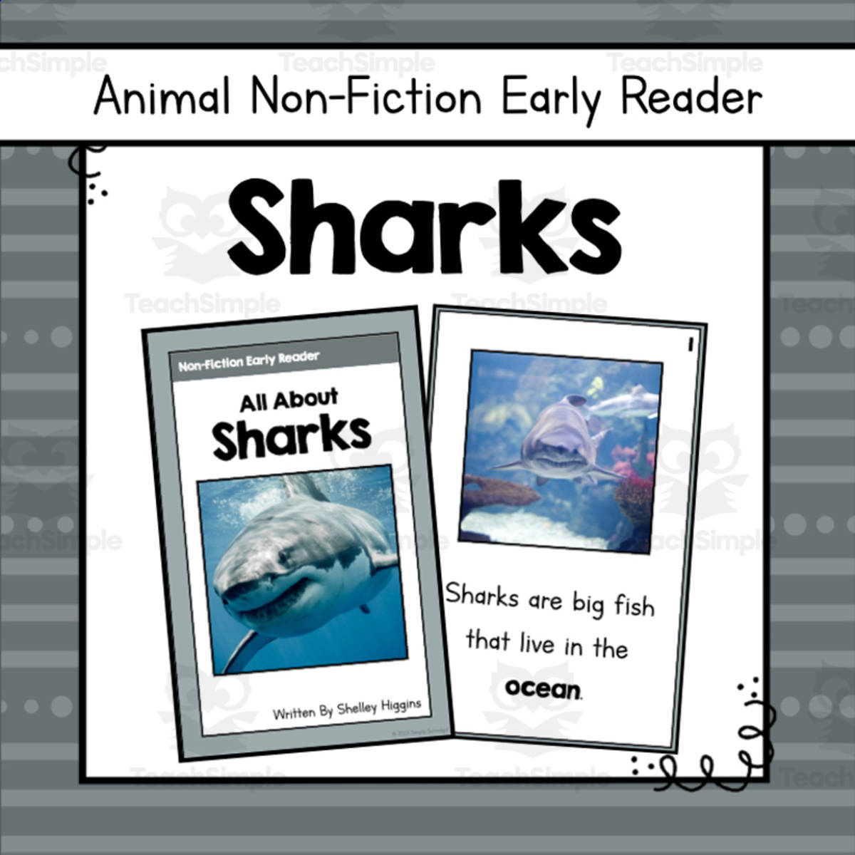 An educational teaching resource from Simply Schoolgirl entitled Sharks Early Reader Nonfiction Book downloadable at Teach Simple.