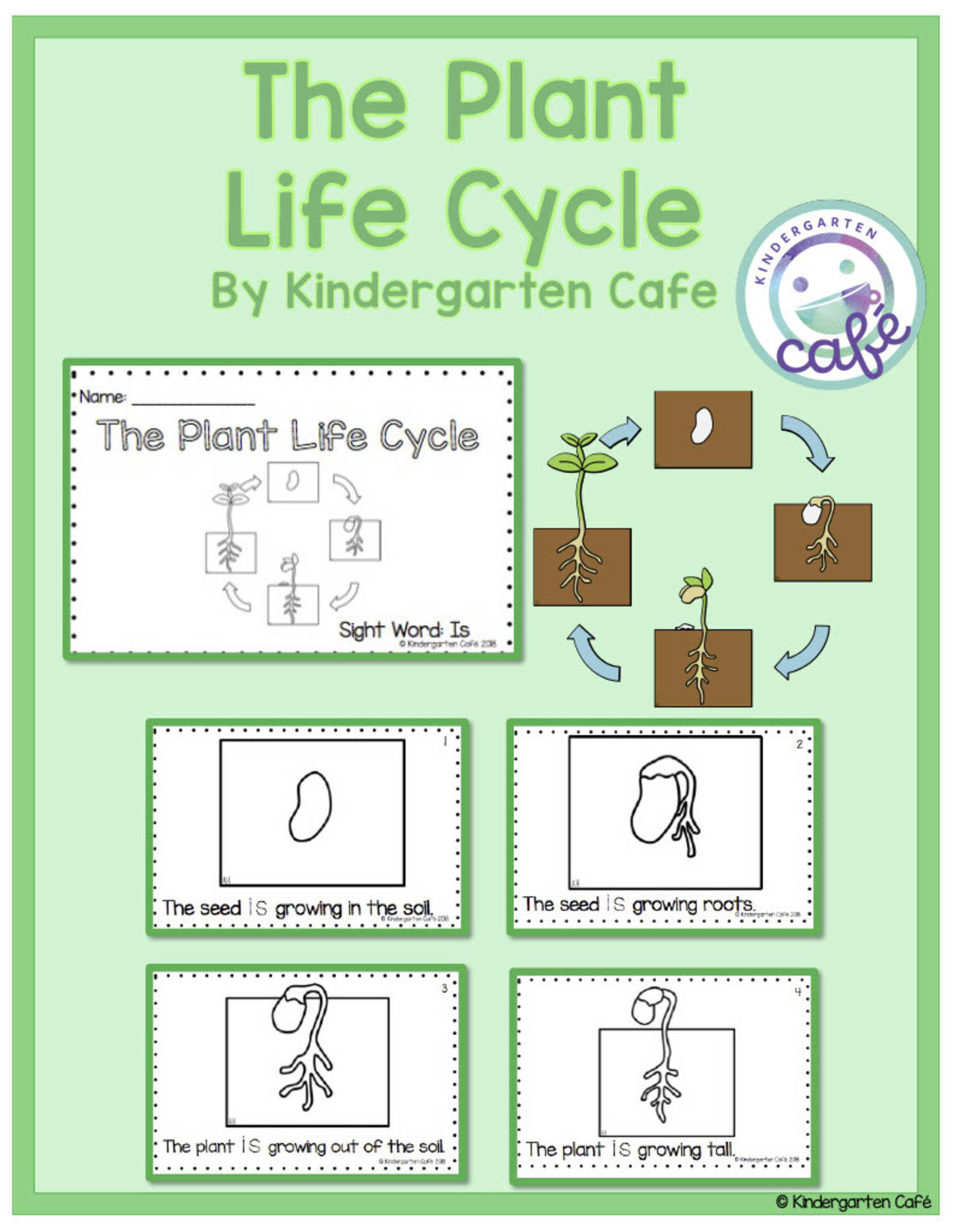 An educational teaching resource from Kindergarten Cafe entitled Sight Word Emergent Reader: The Plant Life Cycle Printable Booklet | "is" sight word downloadable at Teach Simple.