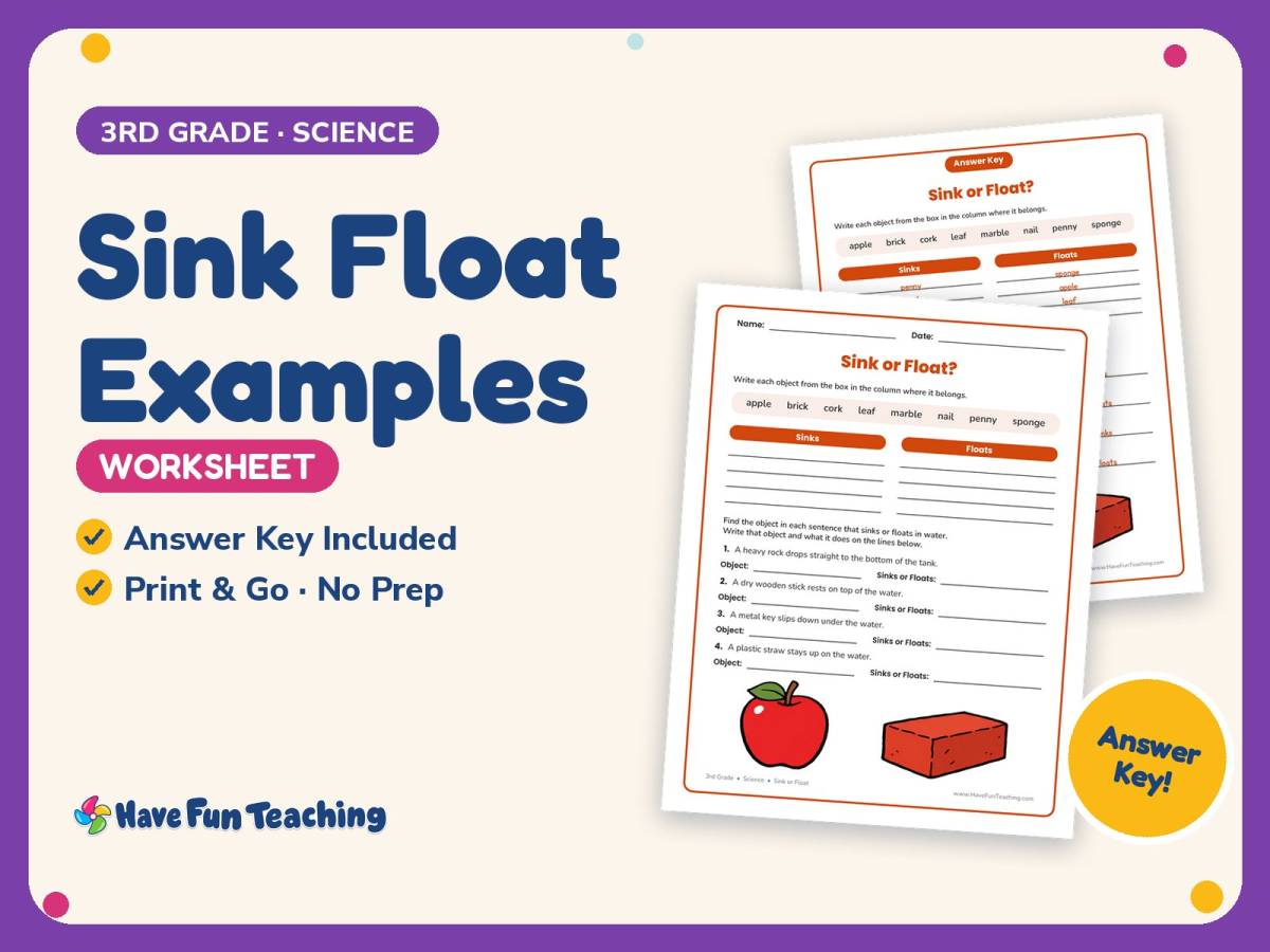 Sink Float Examples Worksheet – 3rd Grade Density & Sink or Float preview