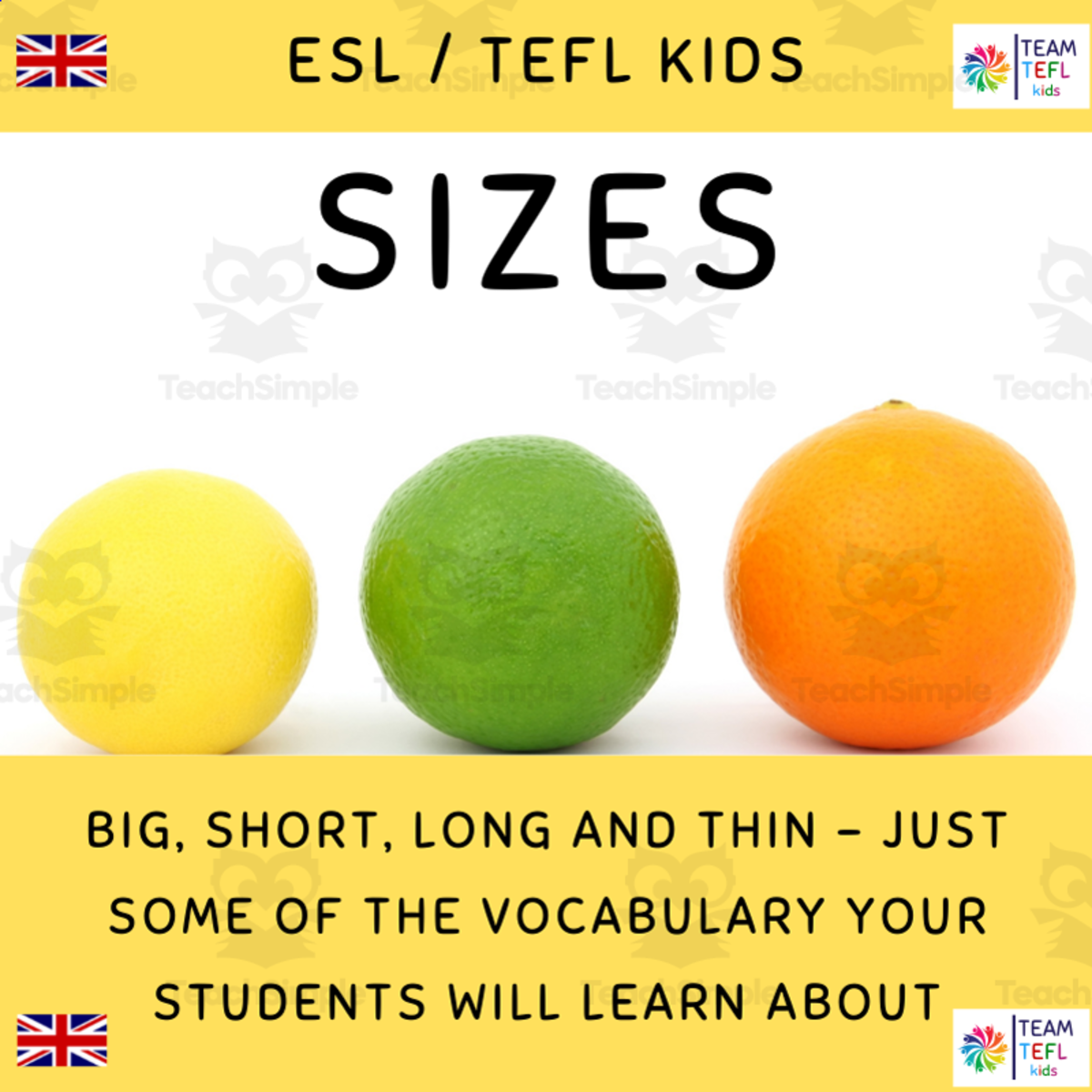 An educational teaching resource from TEAM TEFL entitled Sizes ESL Lesson Plan For Kids and Early Learners downloadable at Teach Simple.