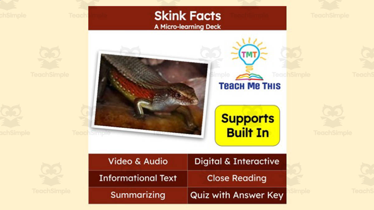 An educational teaching resource from Teach Me This entitled Skink Facts | Interactive Science Lesson | Micro-Learning Deck downloadable at Teach Simple.