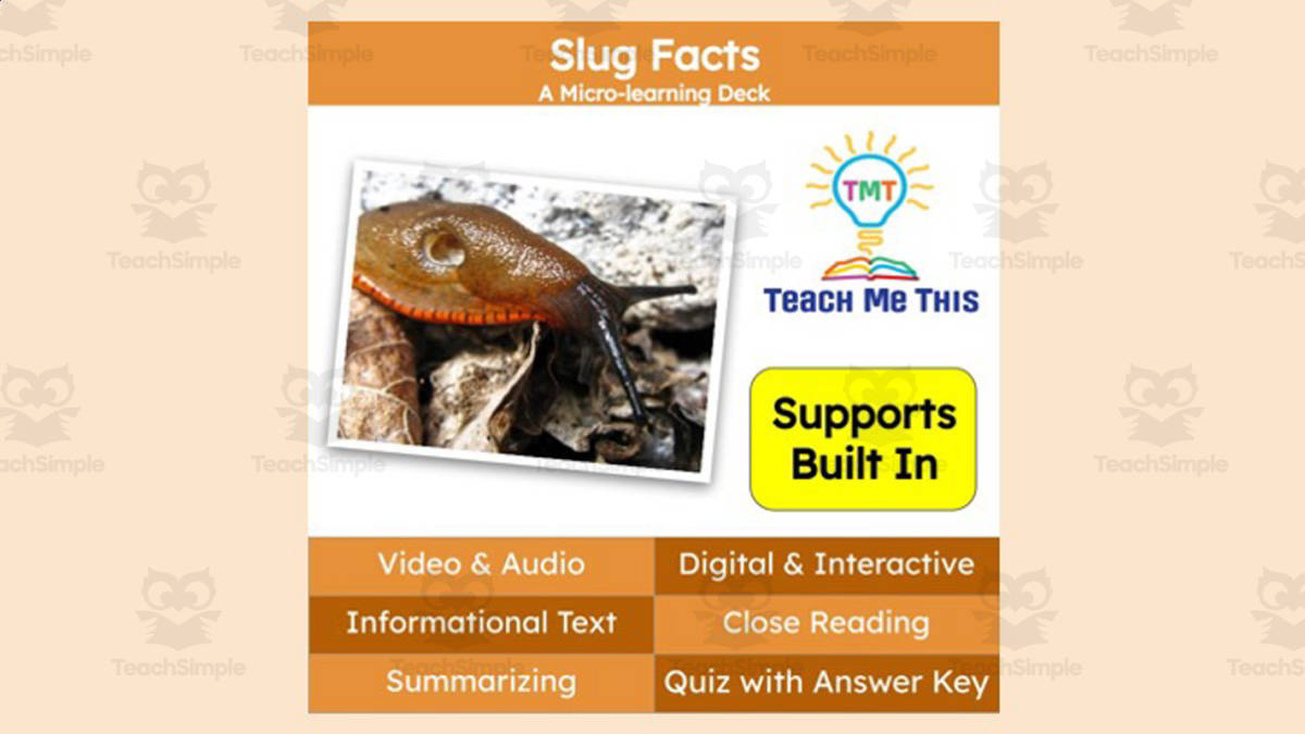 An educational teaching resource from Teach Me This entitled Slugs | Interactive Science Lesson | Micro-Learning Deck downloadable at Teach Simple.