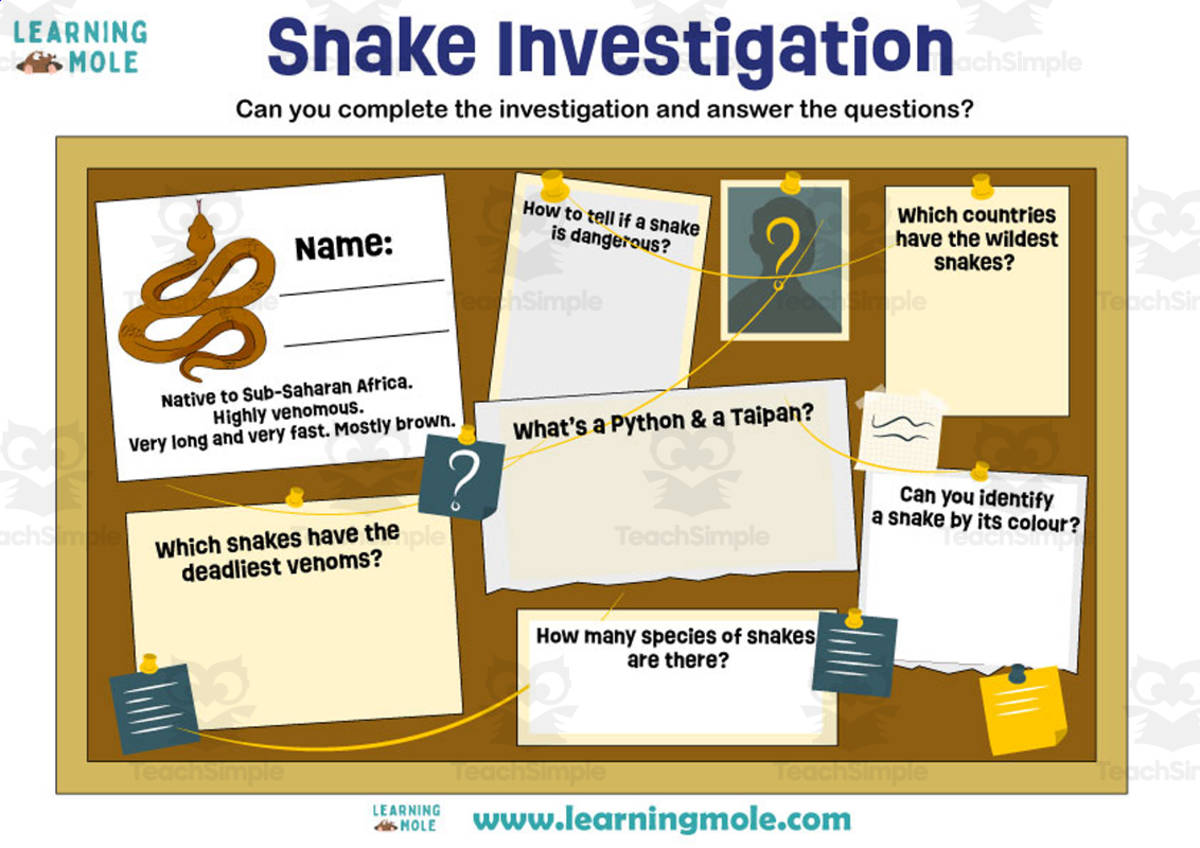 An educational teaching resource from Educational Voice entitled Snake Activity downloadable at Teach Simple.