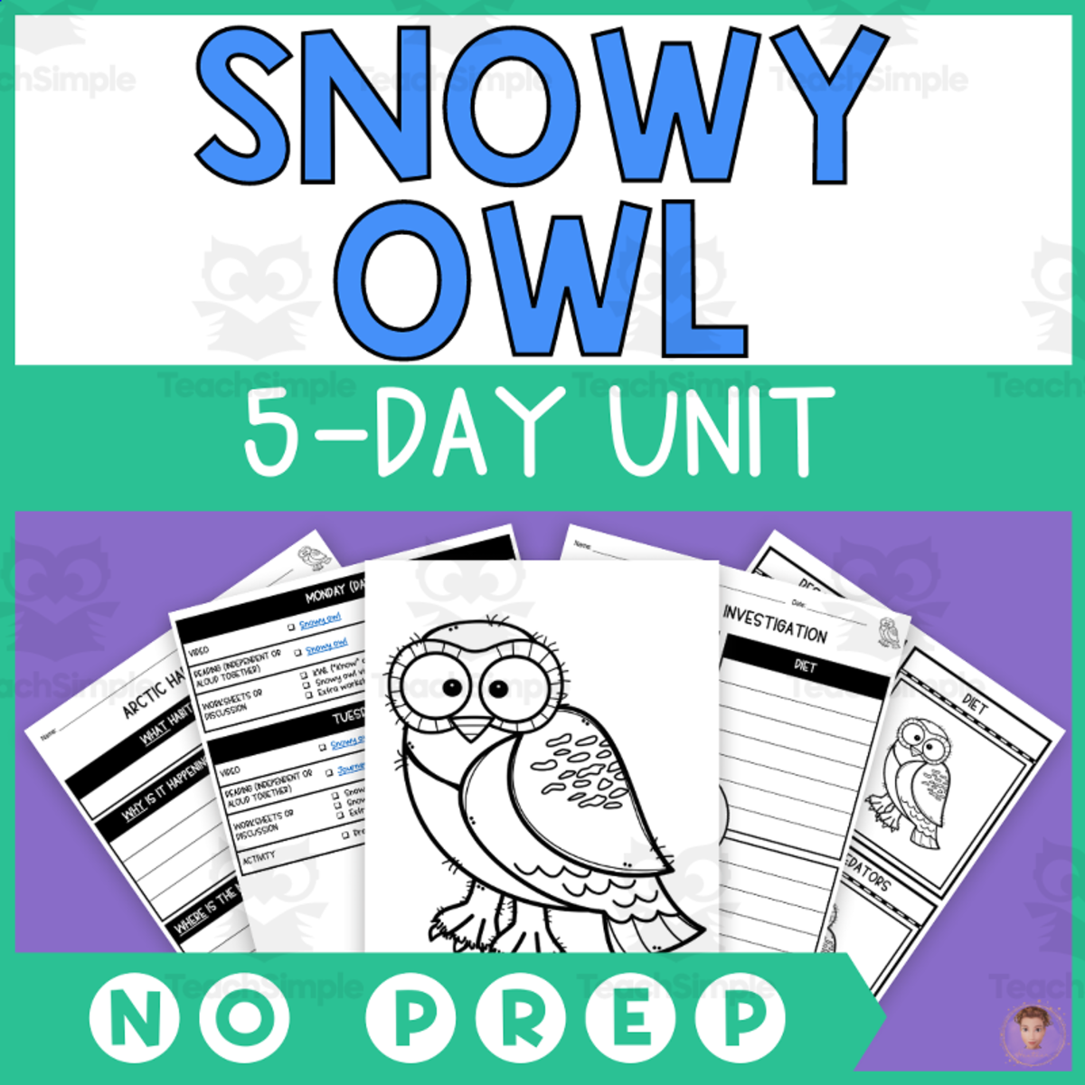An educational teaching resource from Heather Huhman entitled Snowy Owl Unit Study (Arctic Animals Lesson Plan, Videos, Activities) downloadable at Teach Simple.