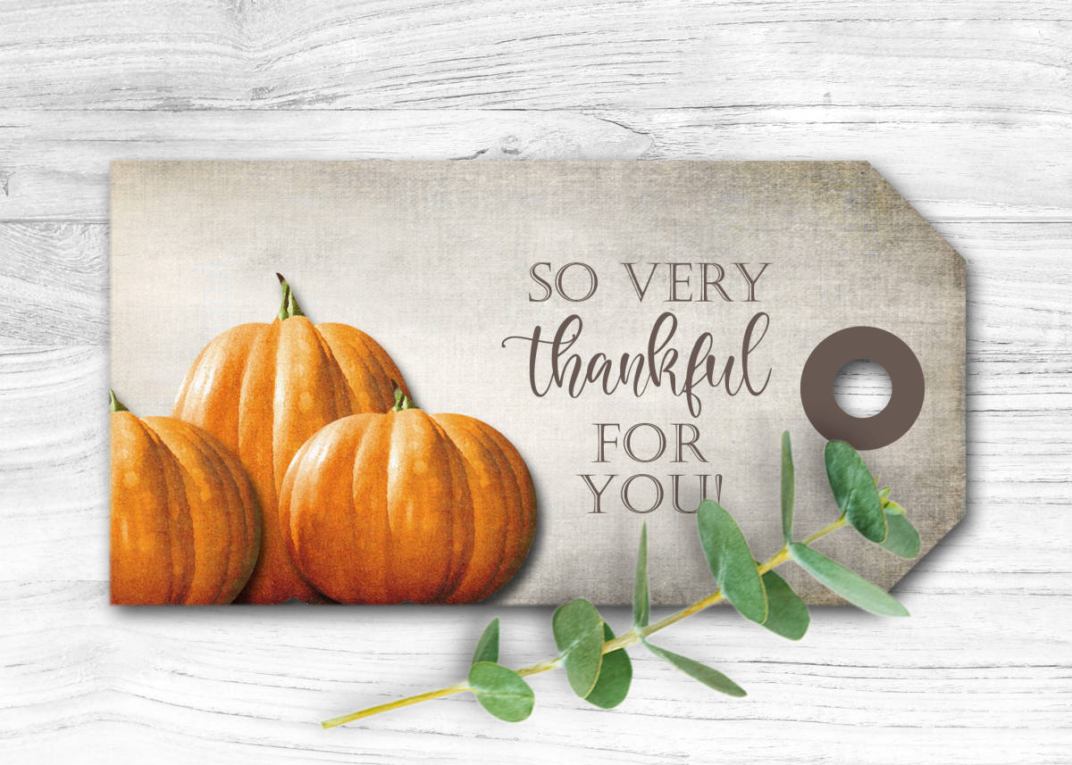 An educational teaching resource from Forever June Digital Design entitled So Very Thankful for you gift tags, Thanksgiving party favor, downloadable at Teach Simple.
