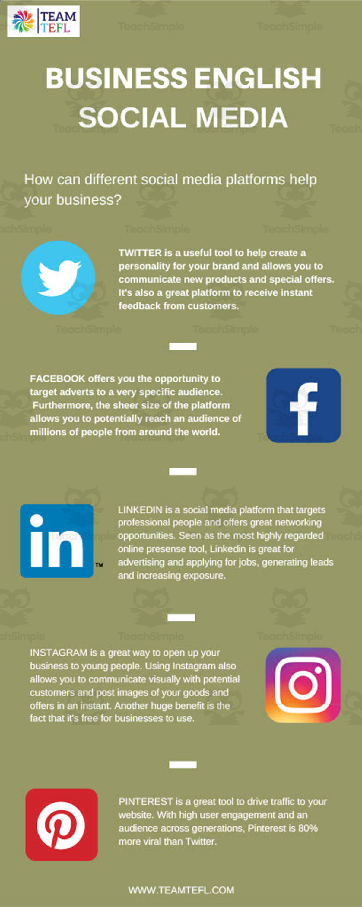 An educational teaching resource from TEAM TEFL entitled Social Media Lesson Plan | Business English Level 2 downloadable at Teach Simple.