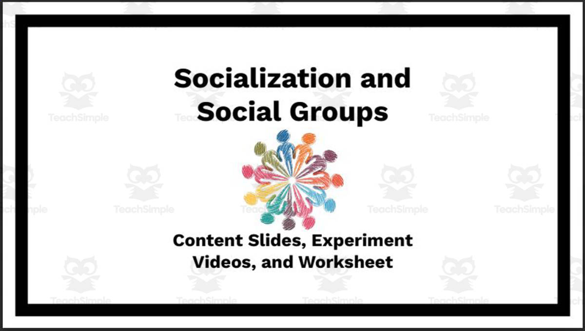 An educational teaching resource from Ed Dynamic entitled Socialization and Social Groups (Unit Slides, Activity, and Worksheets) downloadable at Teach Simple.