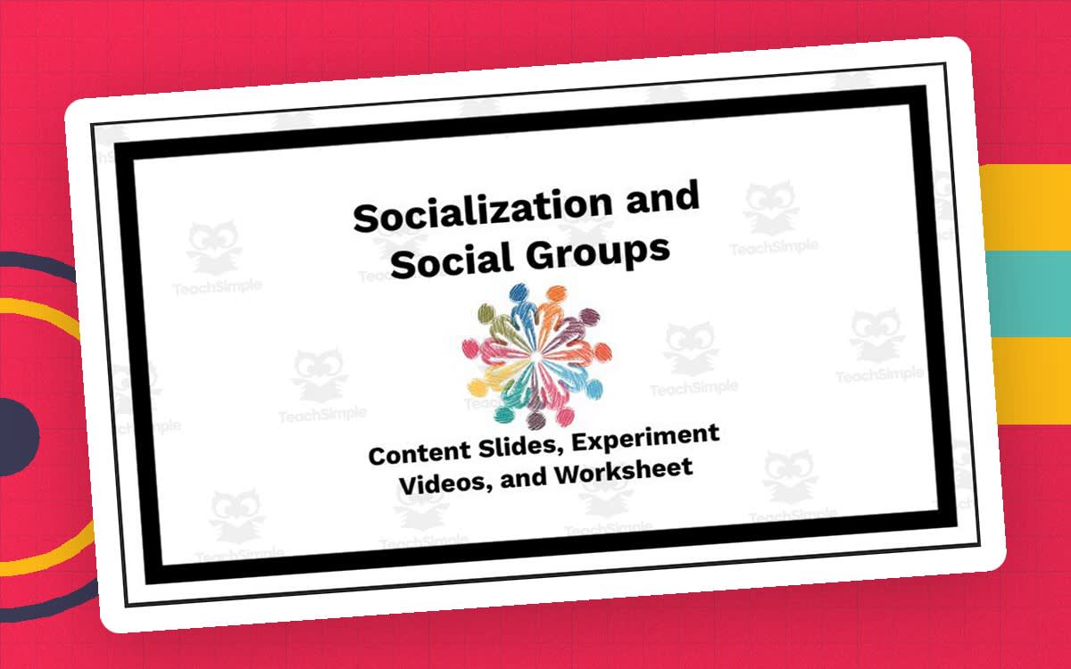 An educational teaching resource from Ed Dynamic entitled Socialization and Social Groups (Unit Slides, Activity, and Worksheets) downloadable at Teach Simple.