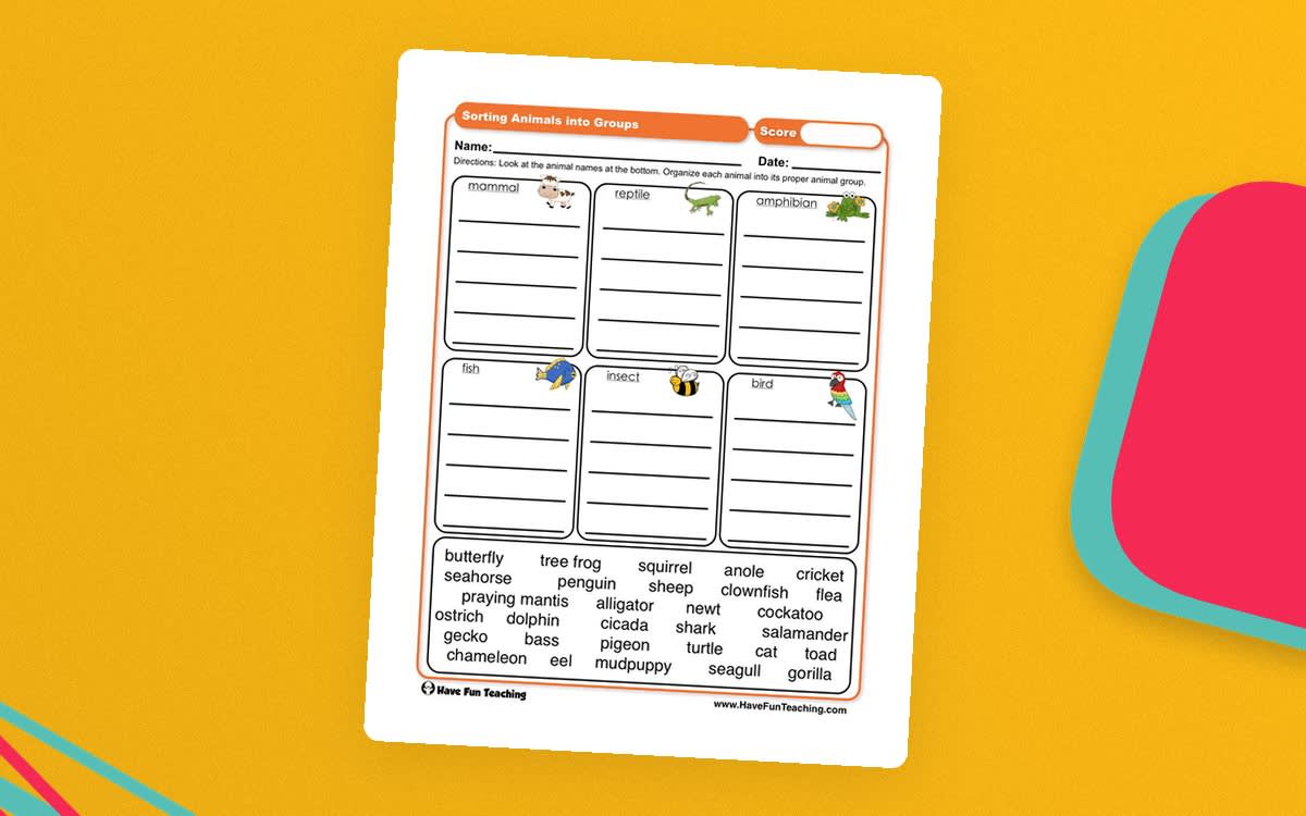 An educational teaching resource from Have Fun Teaching entitled Sorting Animals into Groups Worksheet downloadable at Teach Simple.