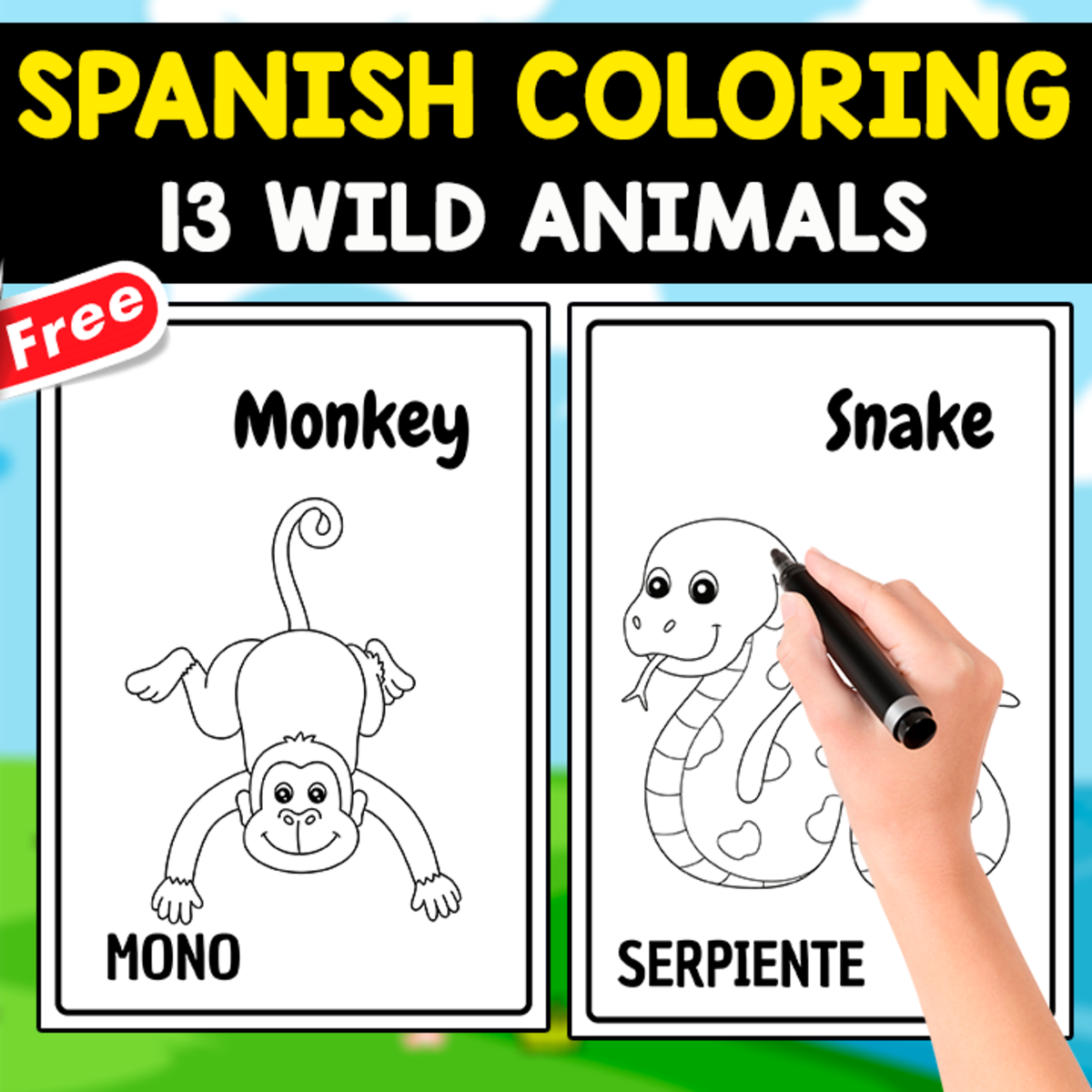 An educational teaching resource from EDITORIAL LAURA EDUCA entitled SPANISH COLORING PAGES | 13 WILD ANIMALS downloadable at Teach Simple.