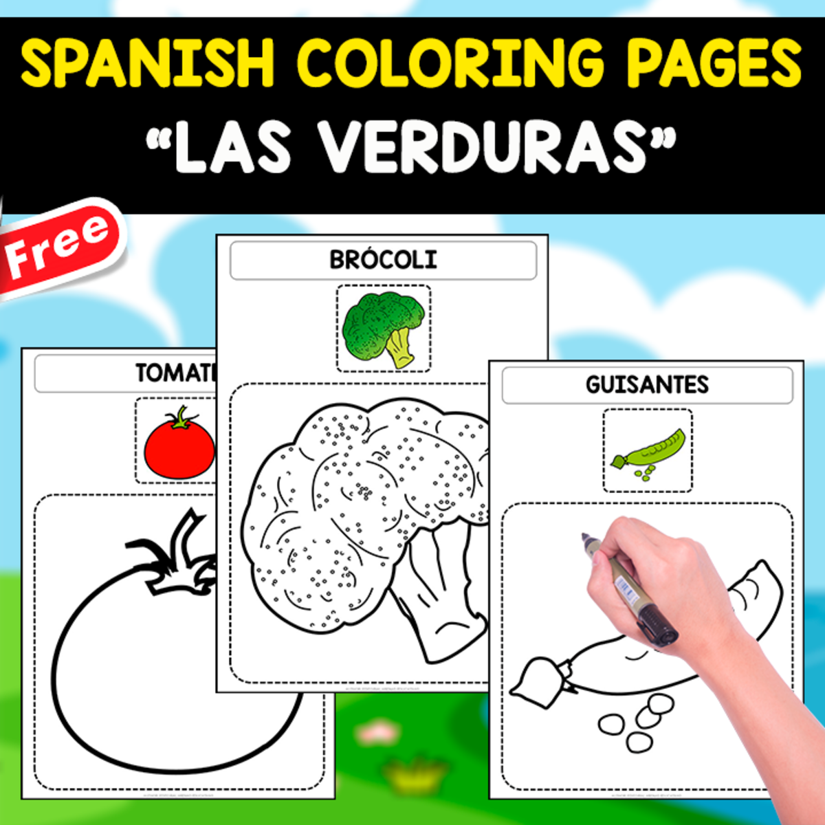 An educational teaching resource from EDITORIAL LAURA EDUCA entitled SPANISH COLORING PAGES | Las Verduras downloadable at Teach Simple.