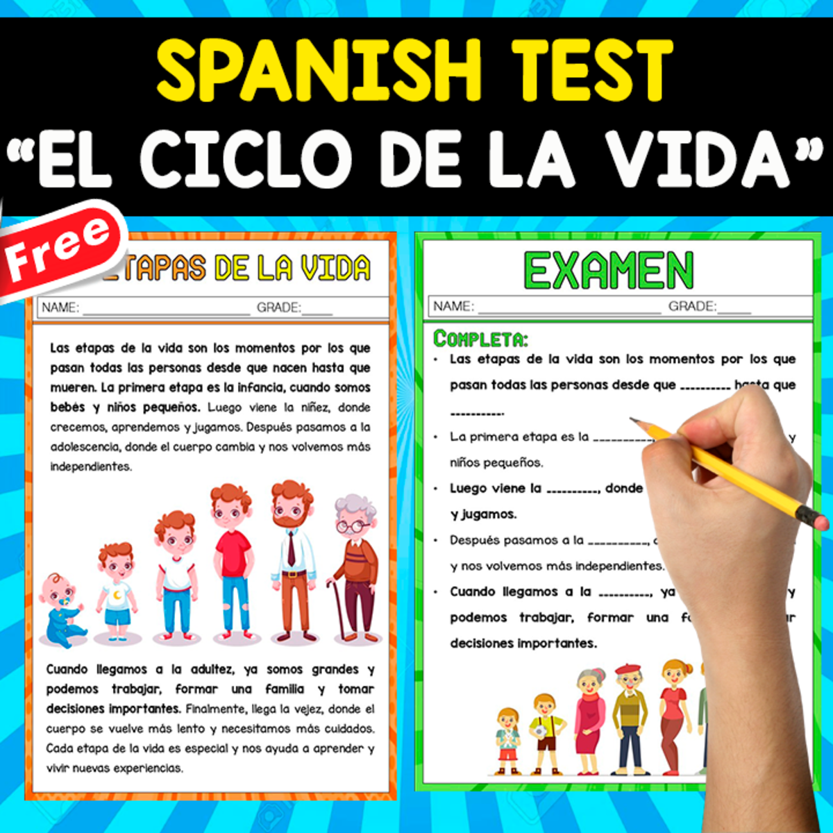 An educational teaching resource from EDITORIAL LAURA EDUCA entitled SPANISH TEST | EL CICLO DE LA VIDA | TEXT + QUESTIONS downloadable at Teach Simple.
