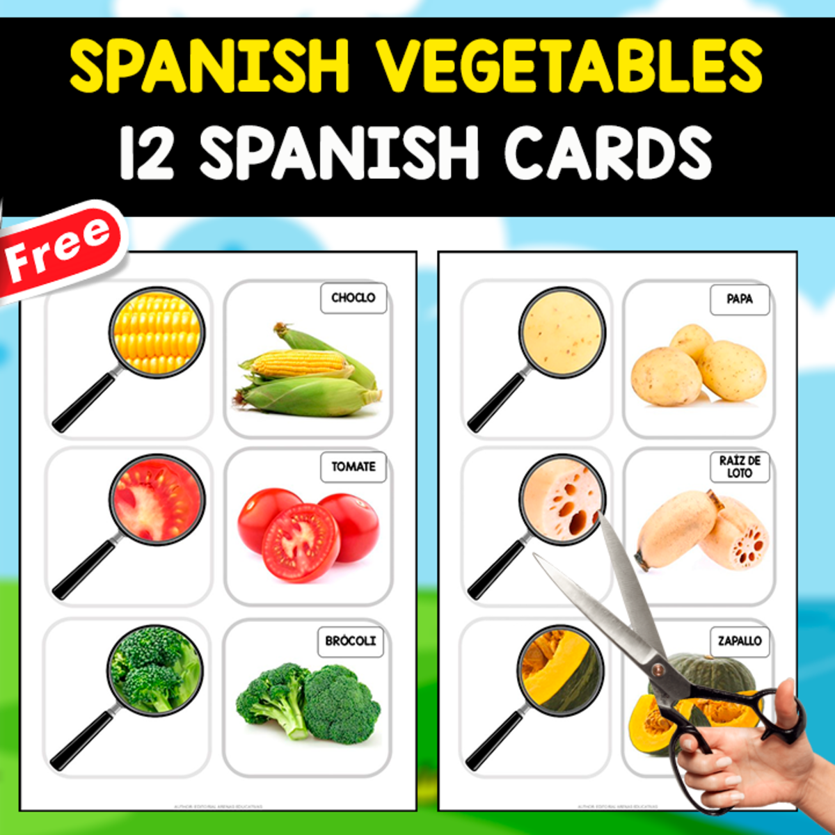 An educational teaching resource from EDITORIAL LAURA EDUCA entitled SPANISH VEGETABLES FLASHCARDS | 12 FREE FLASHCARDS downloadable at Teach Simple.