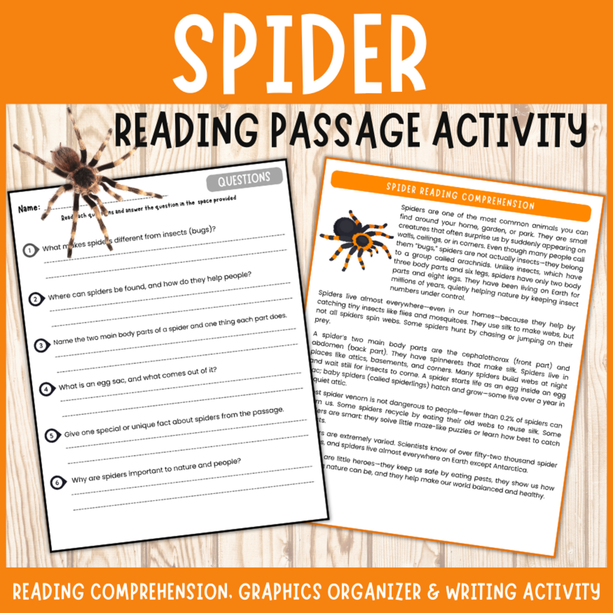 An educational teaching resource from Perfect_Printables entitled Spider reading passage comprehension questions graphics organizers downloadable at Teach Simple.