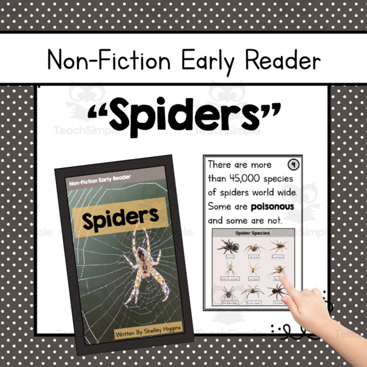 An educational teaching resource from Simply Schoolgirl entitled "Spiders" | Animal Nonfiction Early Reader Book and Comprehension downloadable at Teach Simple.