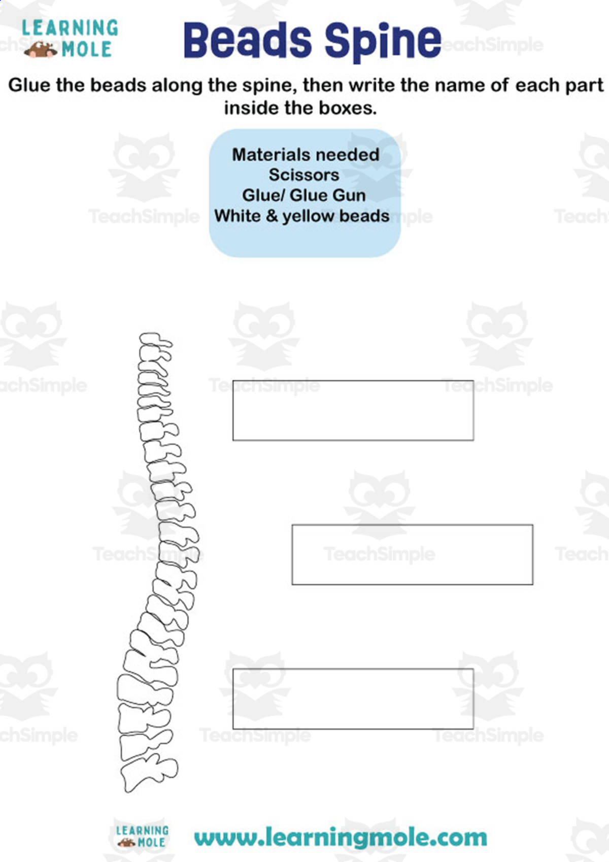 An educational teaching resource from Educational Voice entitled Spine Activity downloadable at Teach Simple.