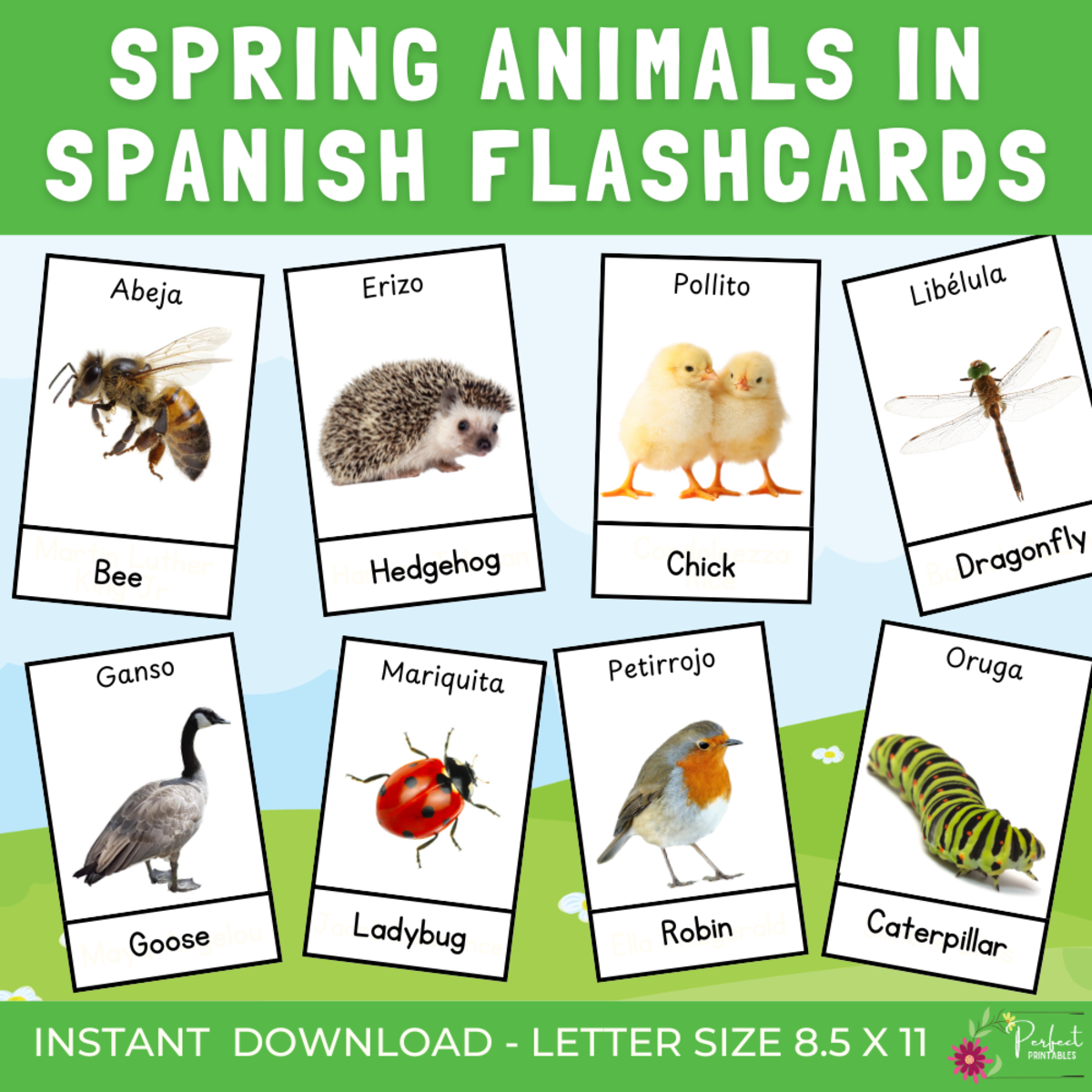 An educational teaching resource from Perfect_Printables entitled Spring Animals in Spanish Bilingual Vocabulary Flashcards downloadable at Teach Simple.