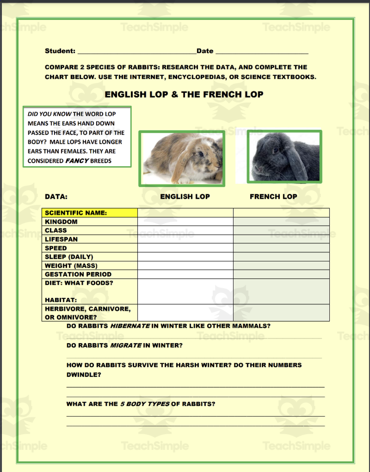 An educational teaching resource from THE LANTERN OF KNOWLEDGE entitled Spring Biology Activity: Rabbits downloadable at Teach Simple.