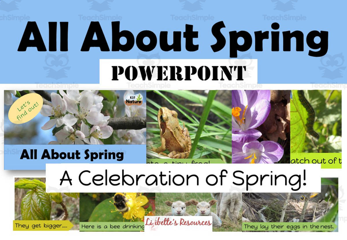 An educational teaching resource from Lilibette's Resources entitled Spring PowerPoint; 44 Slides downloadable at Teach Simple.