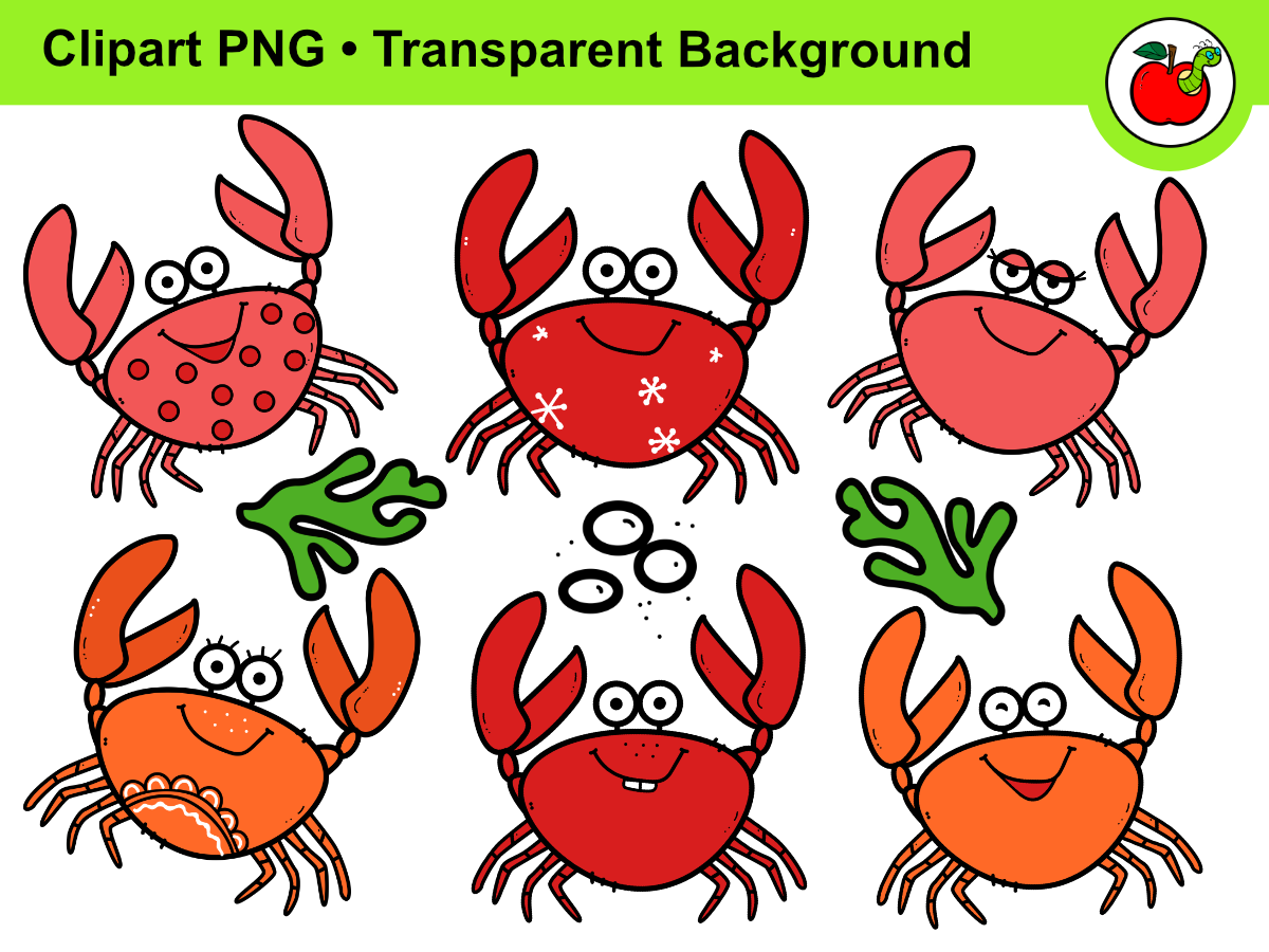 An educational teaching resource from Clipartino entitled Summer Clipart – Crab Clipart, Ocean Clipart, Beach Clipart PNG downloadable at Teach Simple.