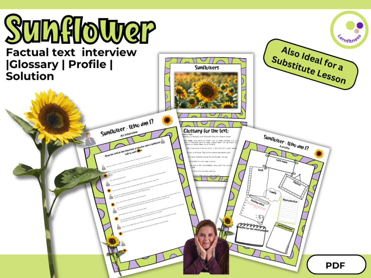 An educational teaching resource from Lernfitness entitled Sunflowers – Factual Interview Text, Glossary & Student Profile downloadable at Teach Simple.