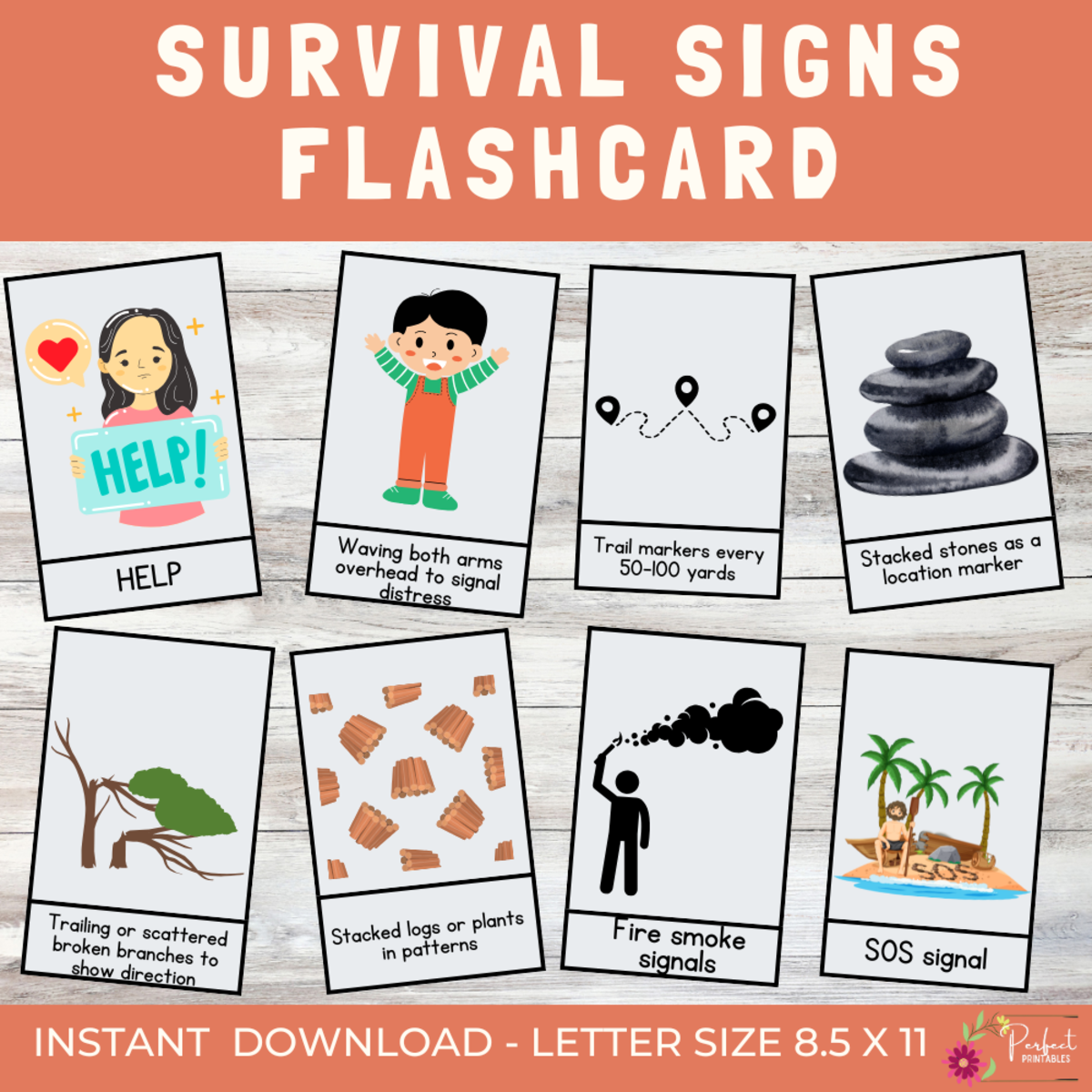 An educational teaching resource from Perfect_Printables entitled Survival Signs Flashcard | 30 Essential Visual Survival Signs For Kids downloadable at Teach Simple.