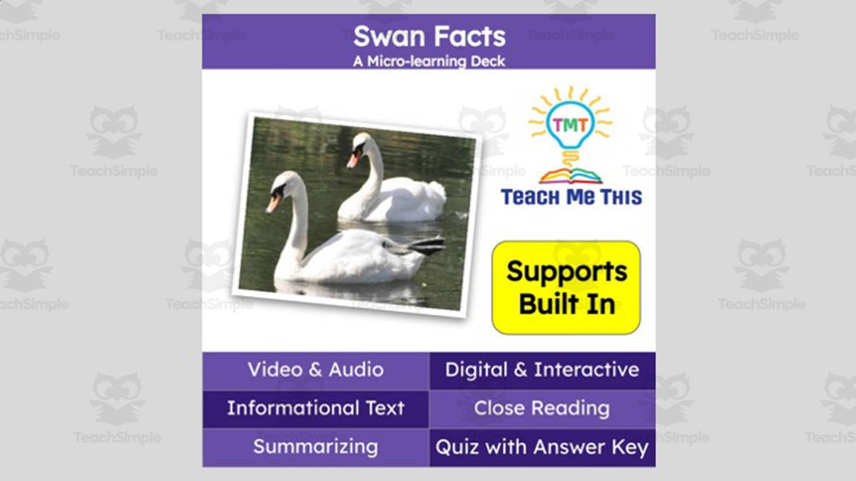 An educational teaching resource from Teach Me This entitled Swan Facts | Interactive Science Lesson | Micro-Learning Deck downloadable at Teach Simple.