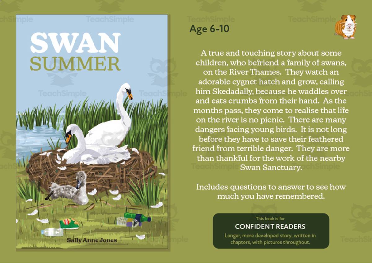 An educational teaching resource from Guinea Pig Education entitled Swan Summer (6-10 years) downloadable at Teach Simple.
