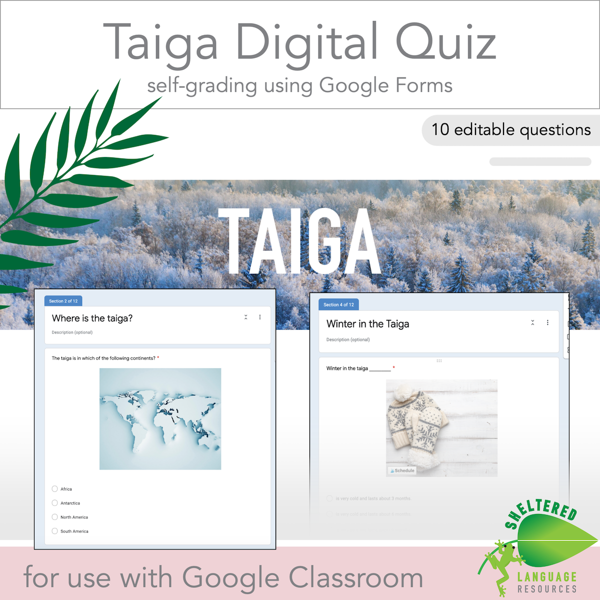 An educational teaching resource from Sheltered Language Resources entitled Taiga - Digital Quiz for Google Classroom downloadable at Teach Simple.