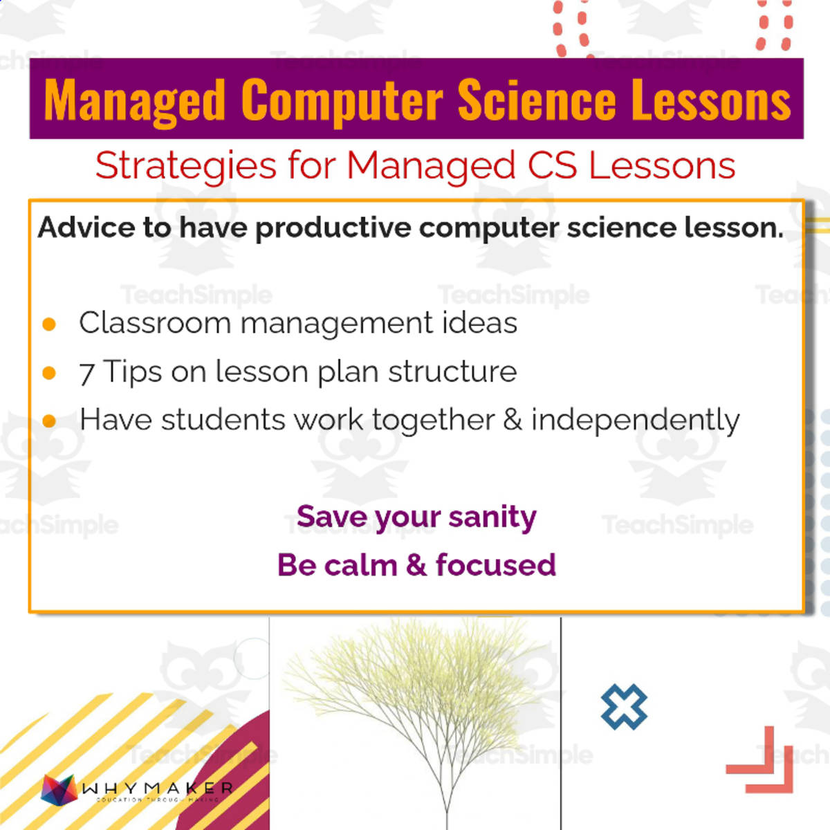 An educational teaching resource from WhyMaker entitled Teaching Tips For a Managed Computer Science Lesson downloadable at Teach Simple.