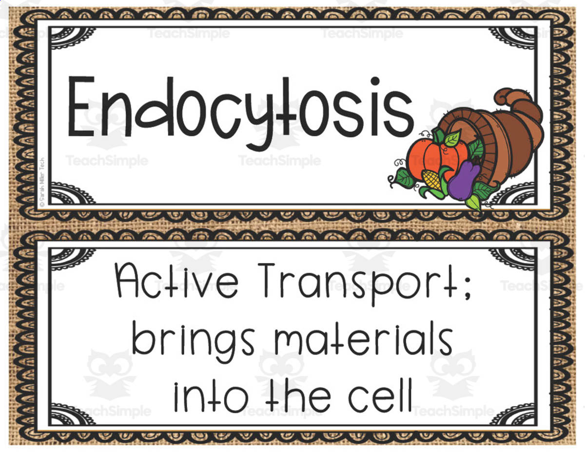 An educational teaching resource from Sarah Miller Tech entitled Thanksgiving Science Activity for Cell Processes downloadable at Teach Simple.