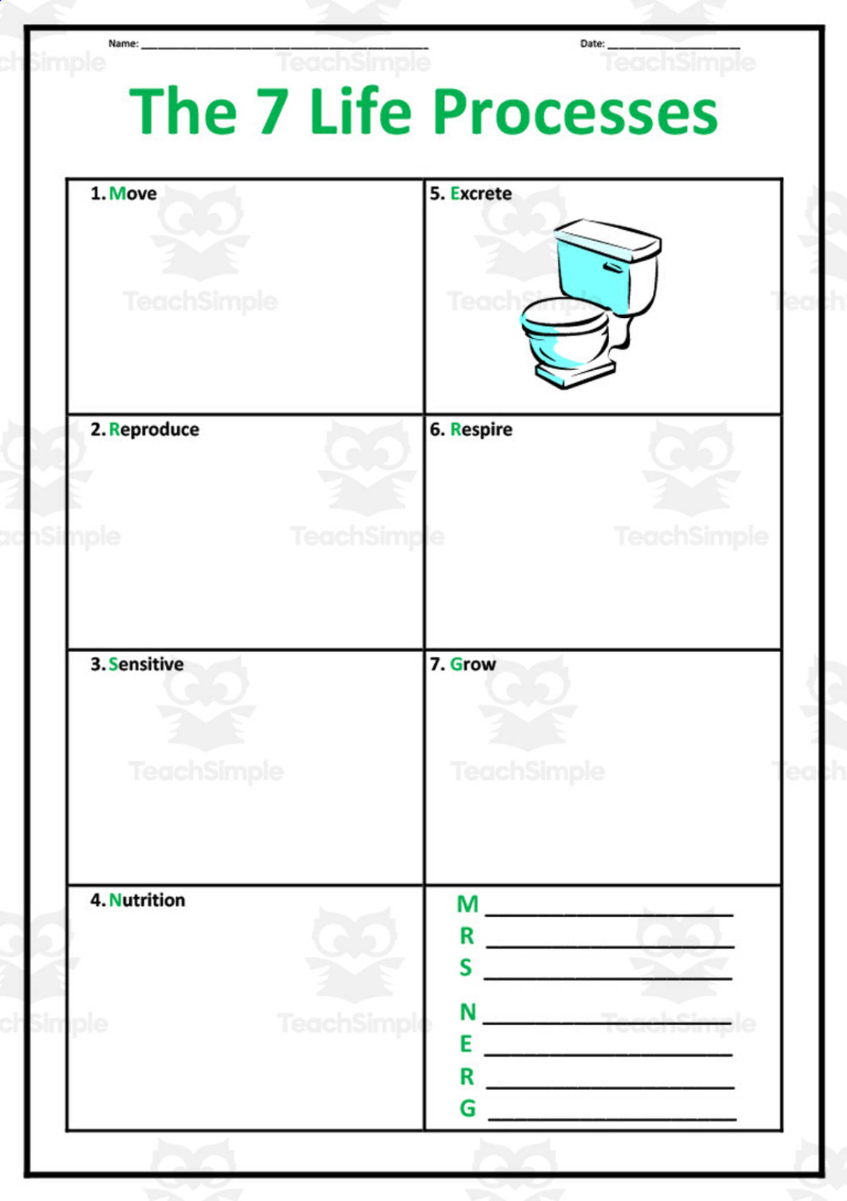 An educational teaching resource from Elementary Resources 4 U entitled The 7 Life Processes Worksheet Set downloadable at Teach Simple.
