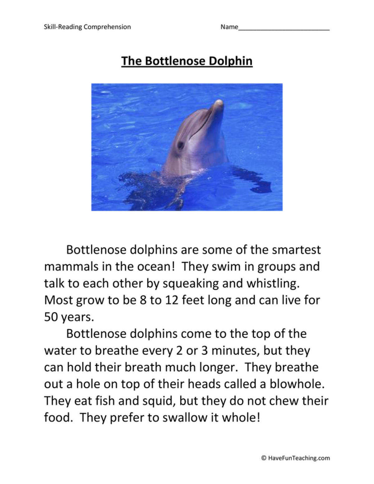 An educational teaching resource from Have Fun Teaching entitled The Bottlenose Dolphin Reading Comprehension Worksheet downloadable at Teach Simple.