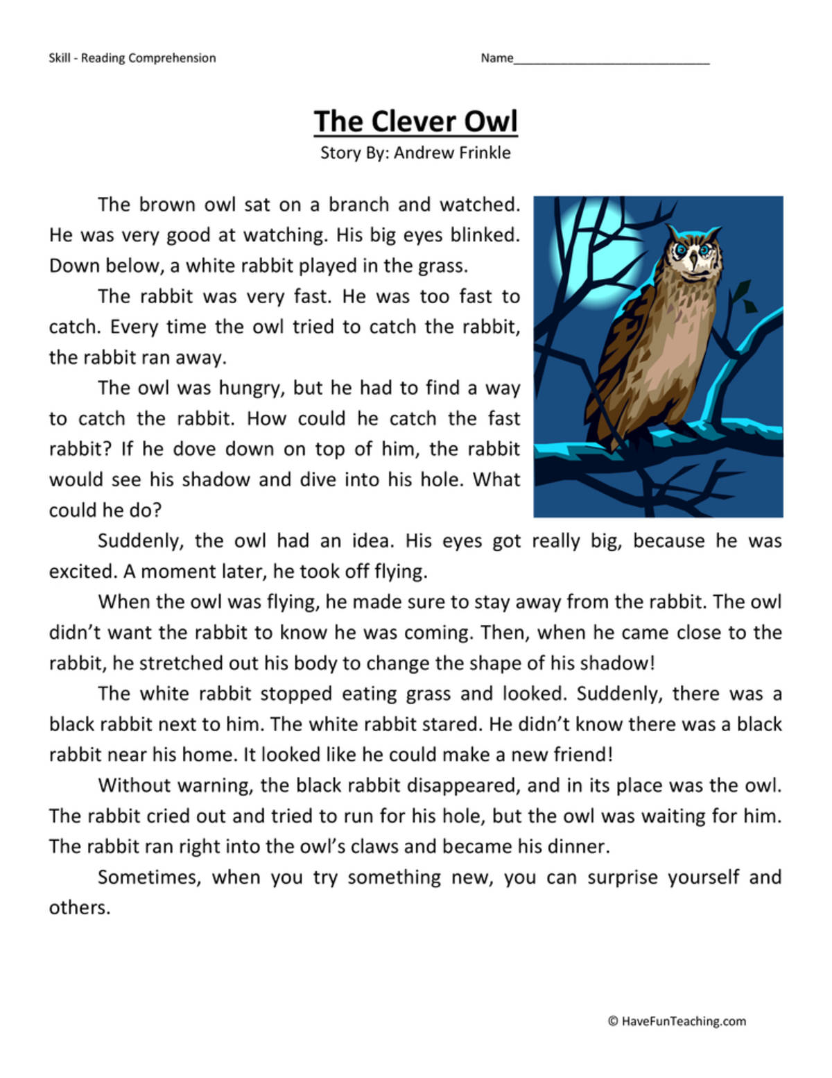 An educational teaching resource from Have Fun Teaching entitled The Clever Owl Reading Comprehension Worksheet downloadable at Teach Simple.