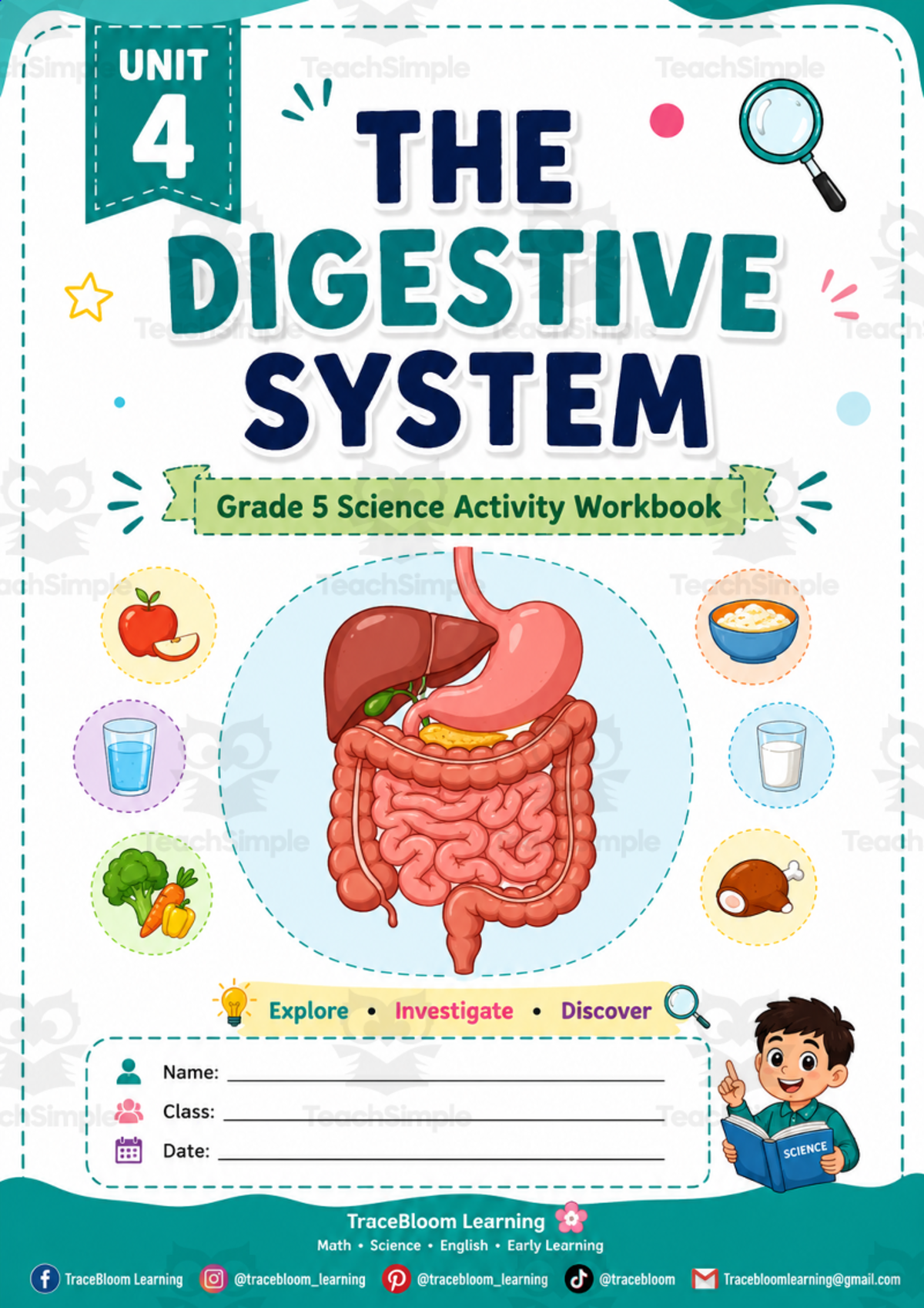 An educational teaching resource from Tracebloom Learning entitled The Digestive System & Balanced Diet | Printable Workbook. downloadable at Teach Simple.