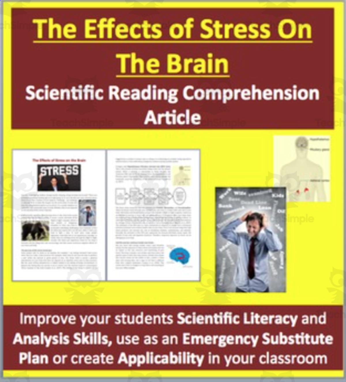 An educational teaching resource from Teach With Fergy entitled The Effects of Stress on the Brain Reading Comprehension Article downloadable at Teach Simple.
