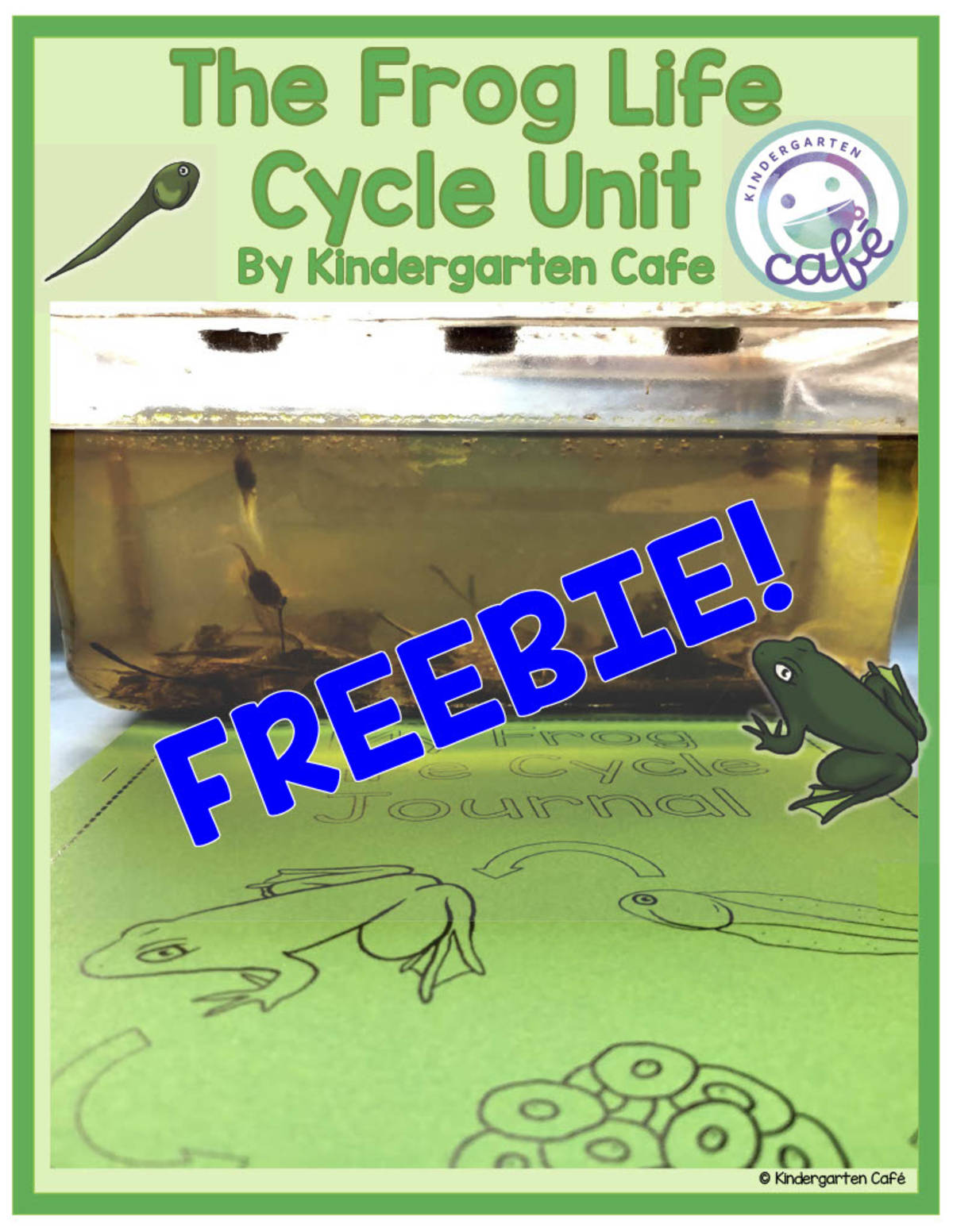 An educational teaching resource from Kindergarten Cafe entitled The Frog Life Cycle Unit - Tadpole Cut and Paste downloadable at Teach Simple.