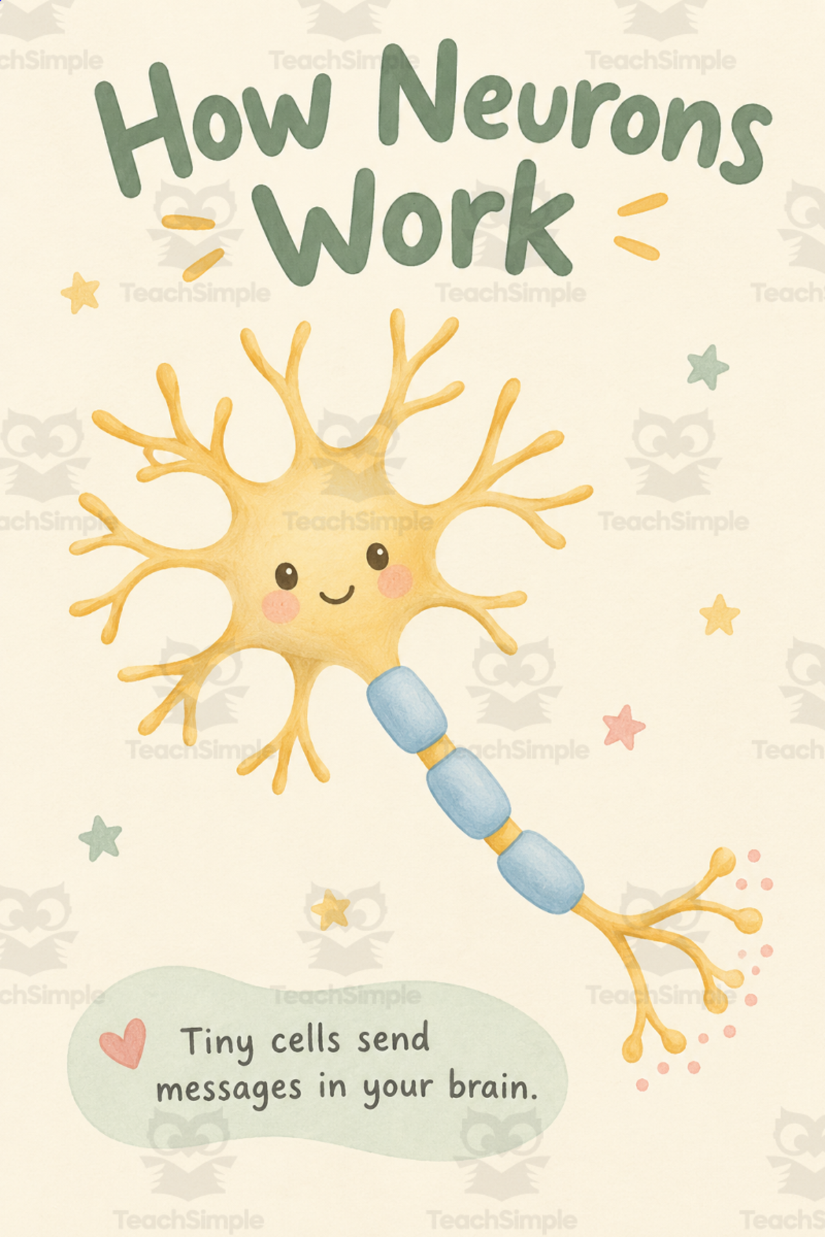 The Human Body Educational Infographics Poster Bundle| Color pages preview