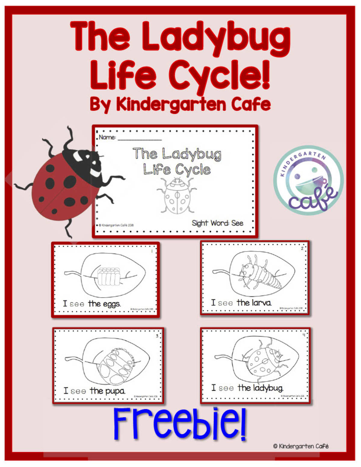 An educational teaching resource from Kindergarten Cafe entitled The Ladybug Life Cycle Book | Emergent Reader downloadable at Teach Simple.