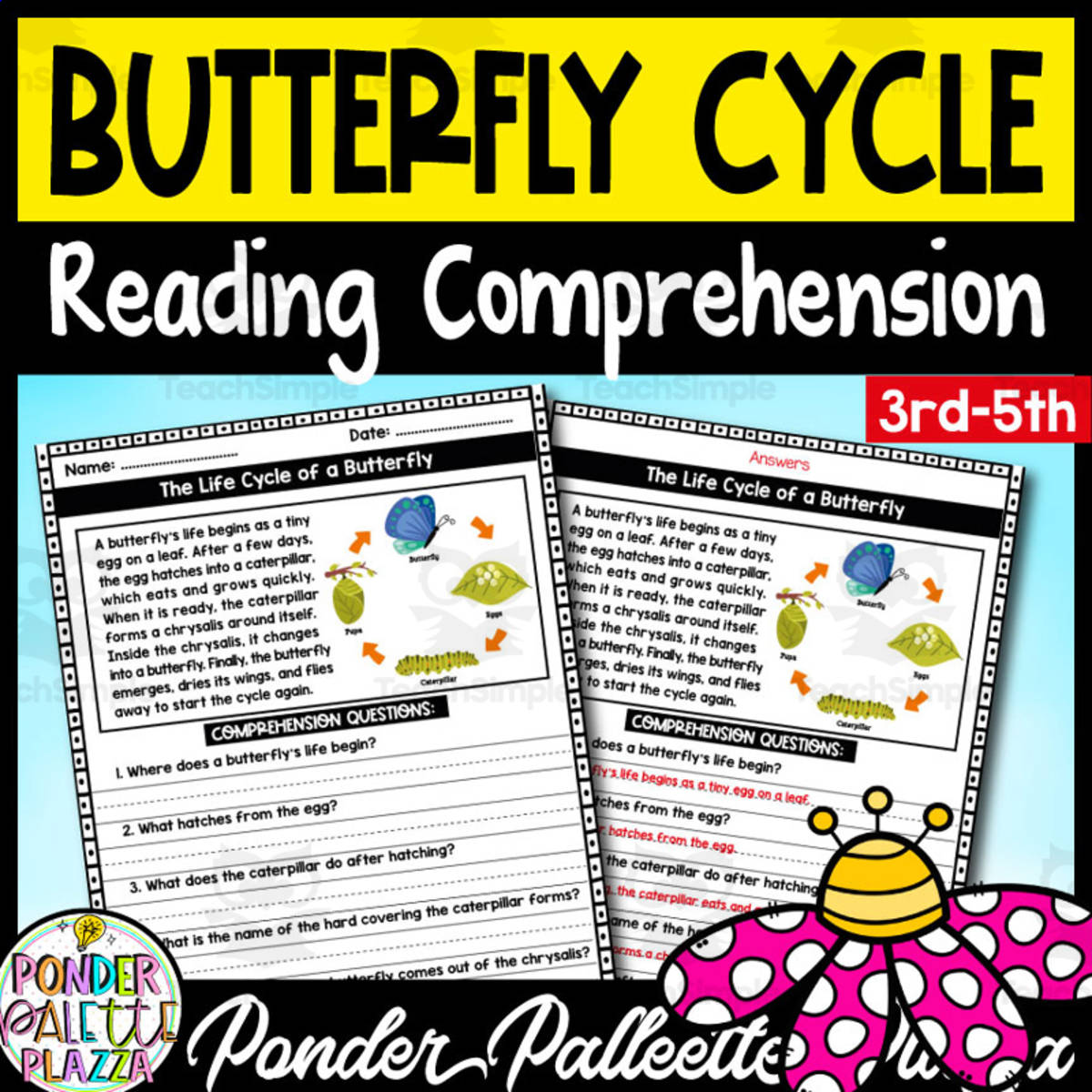 An educational teaching resource from Ponder Palette Plazza entitled The Life Cycle of a Butterfly - Reading Comprehension + Answers downloadable at Teach Simple.