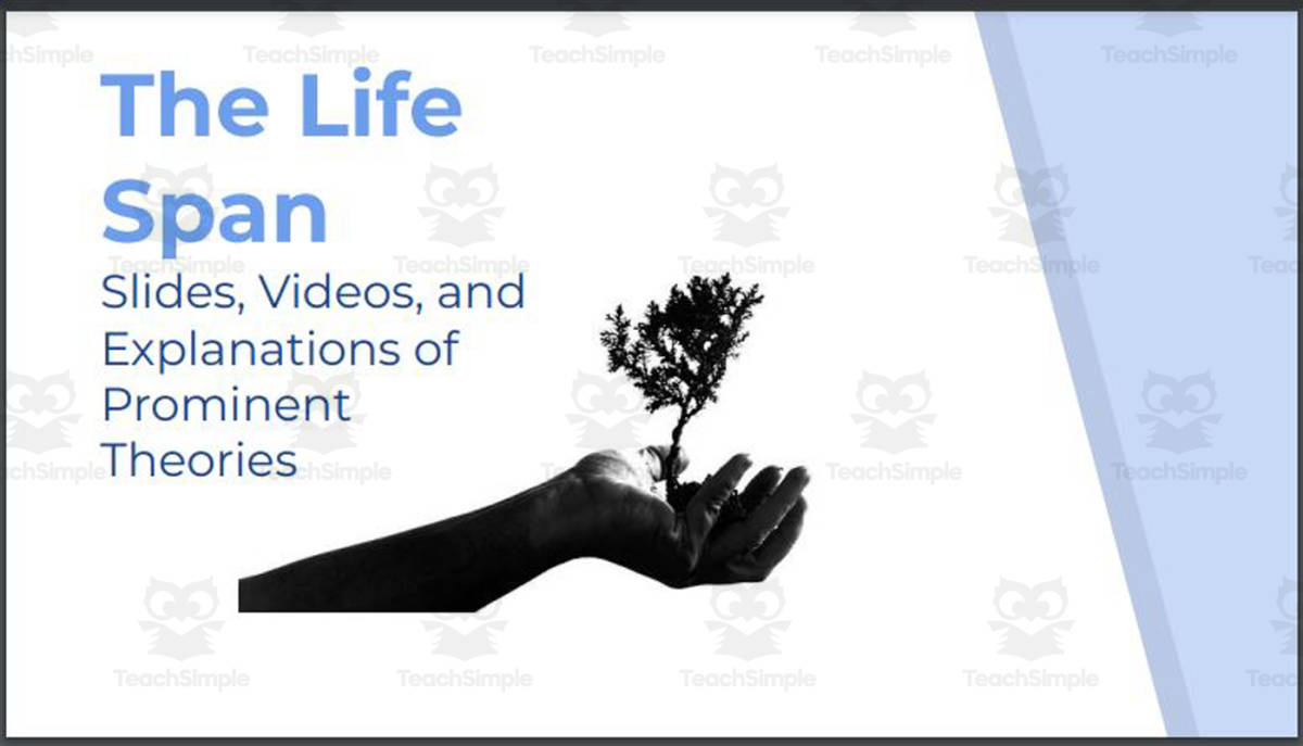 An educational teaching resource from Ed Dynamic entitled The Life Span (Psychology Human Development Slides and follow-along notes) downloadable at Teach Simple.
